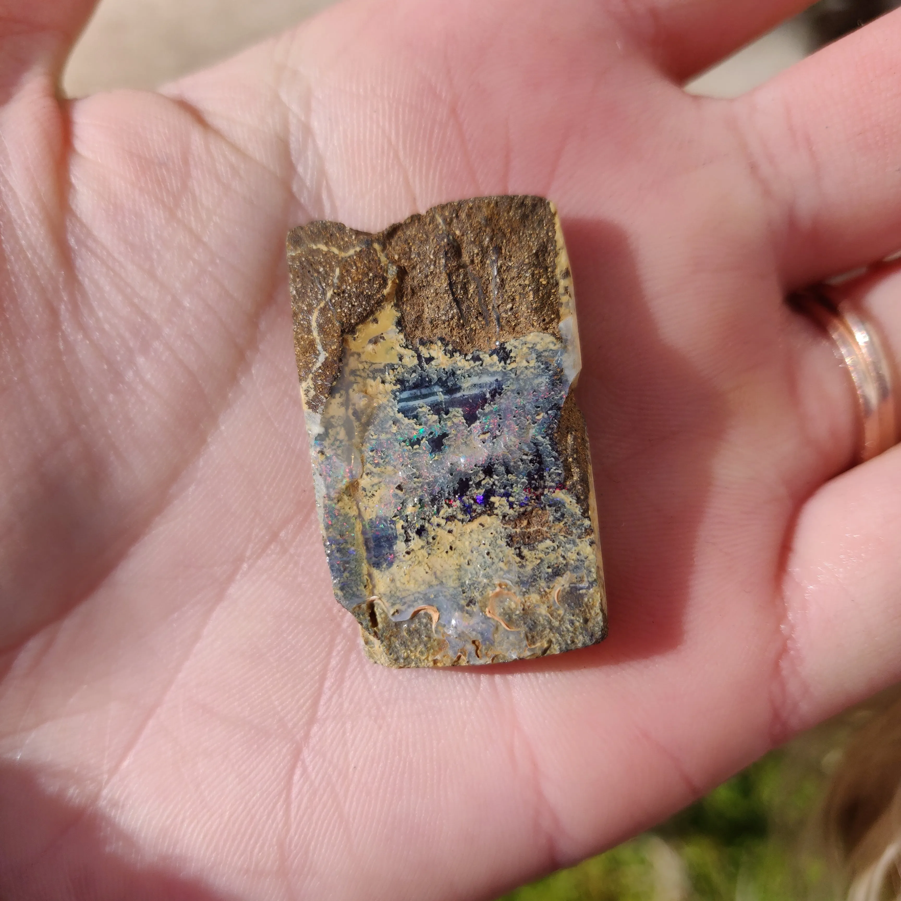 Australian Boulder Opal Rough Specimen (#5)