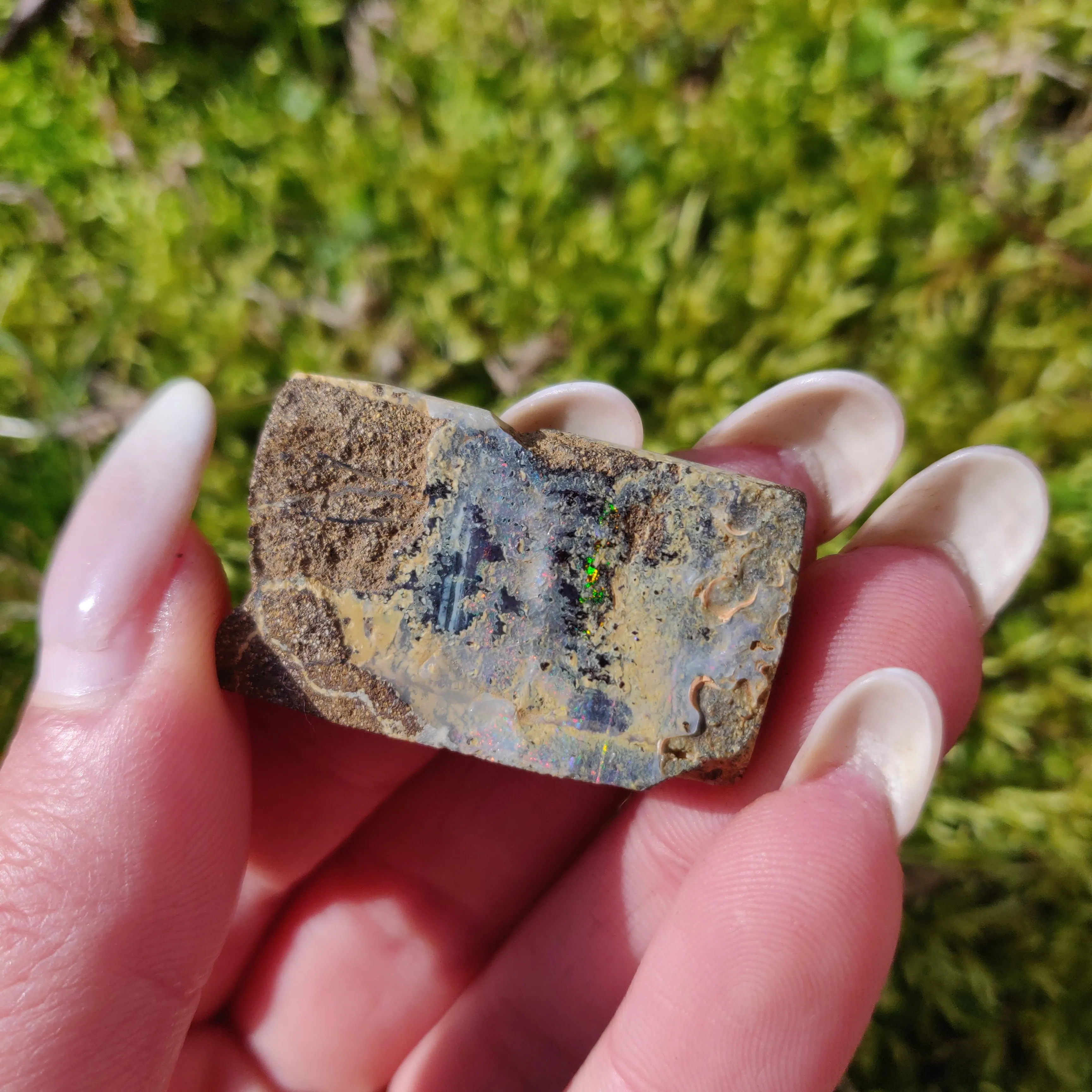 Australian Boulder Opal Rough Specimen (#5)