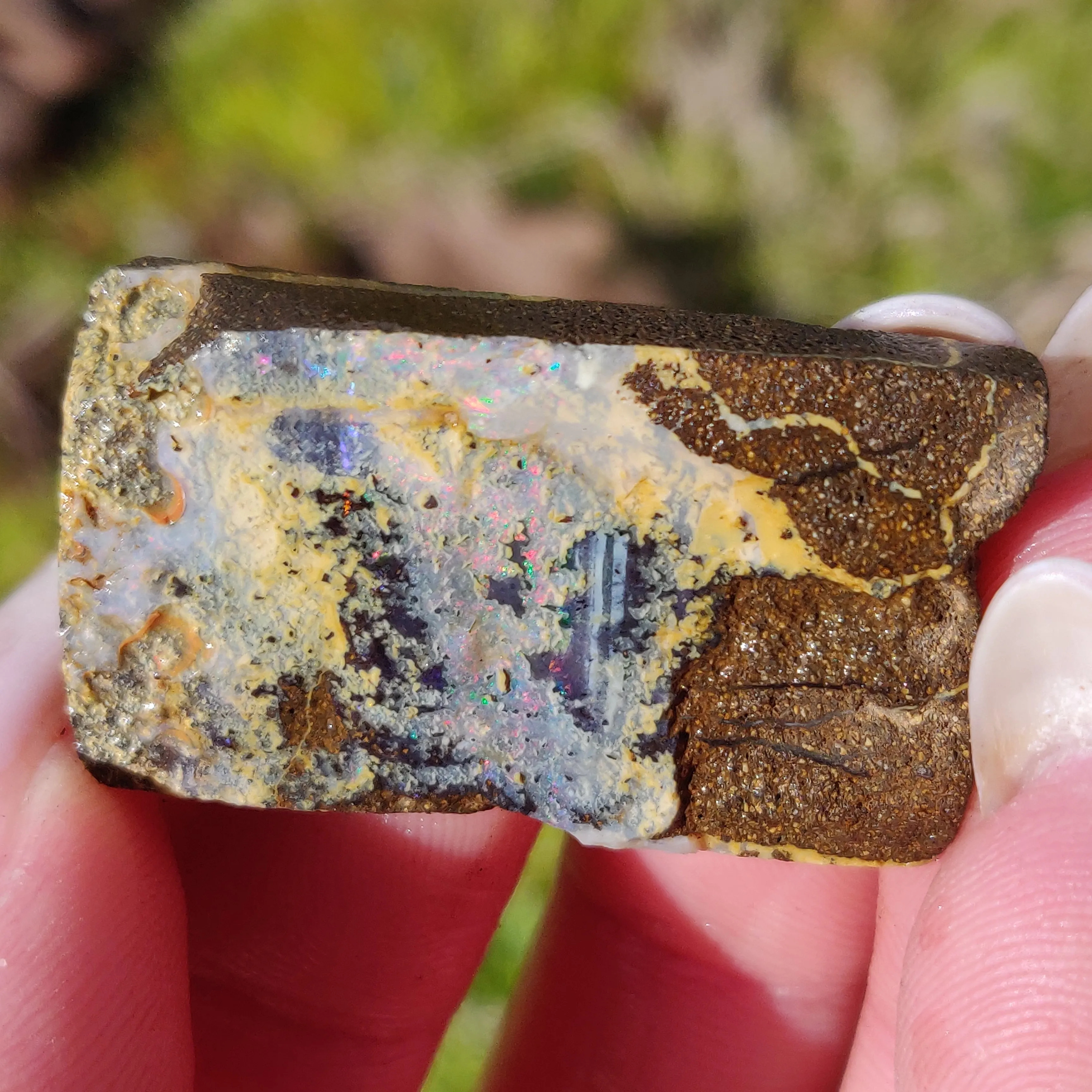 Australian Boulder Opal Rough Specimen (#5)