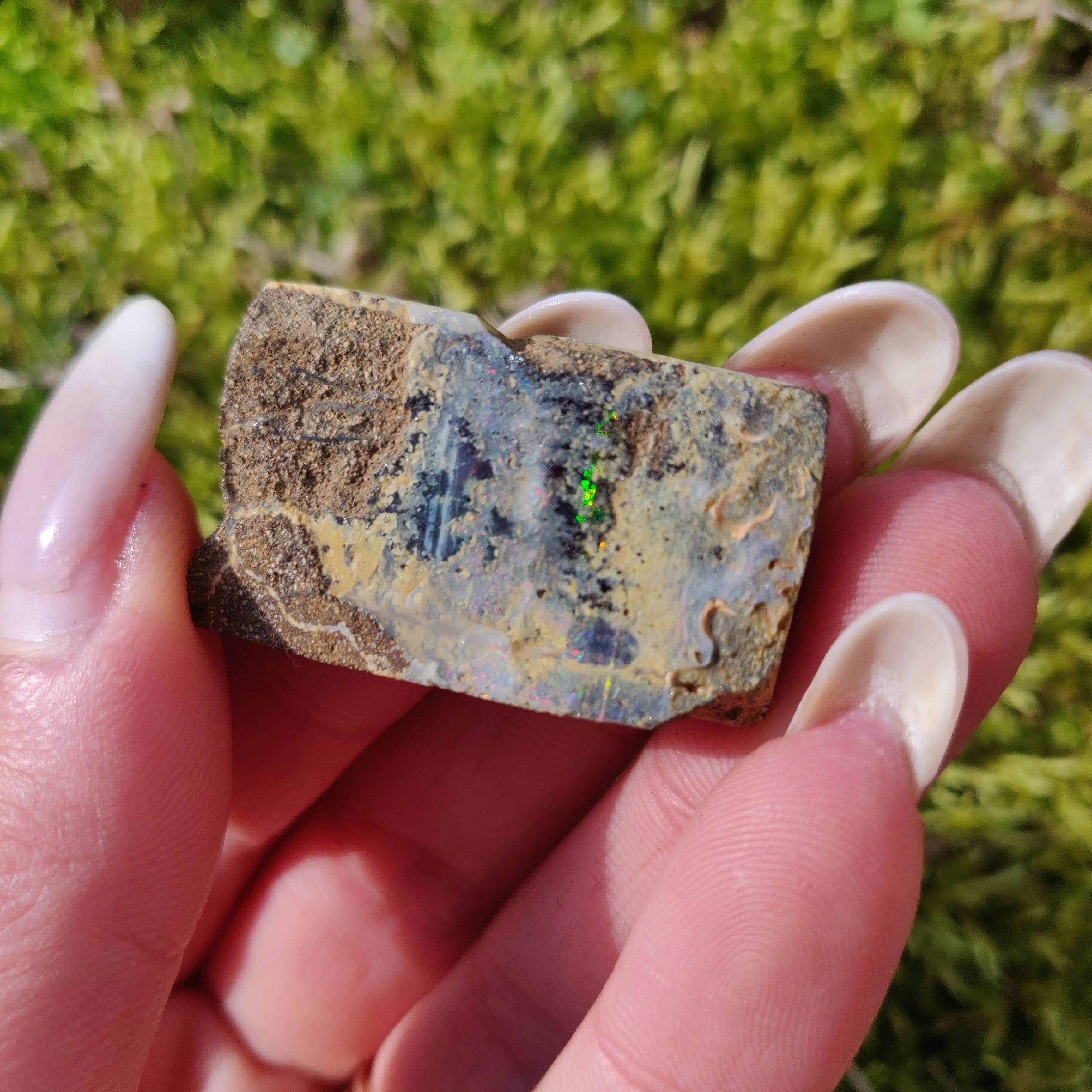 Australian Boulder Opal Rough Specimen (#5)