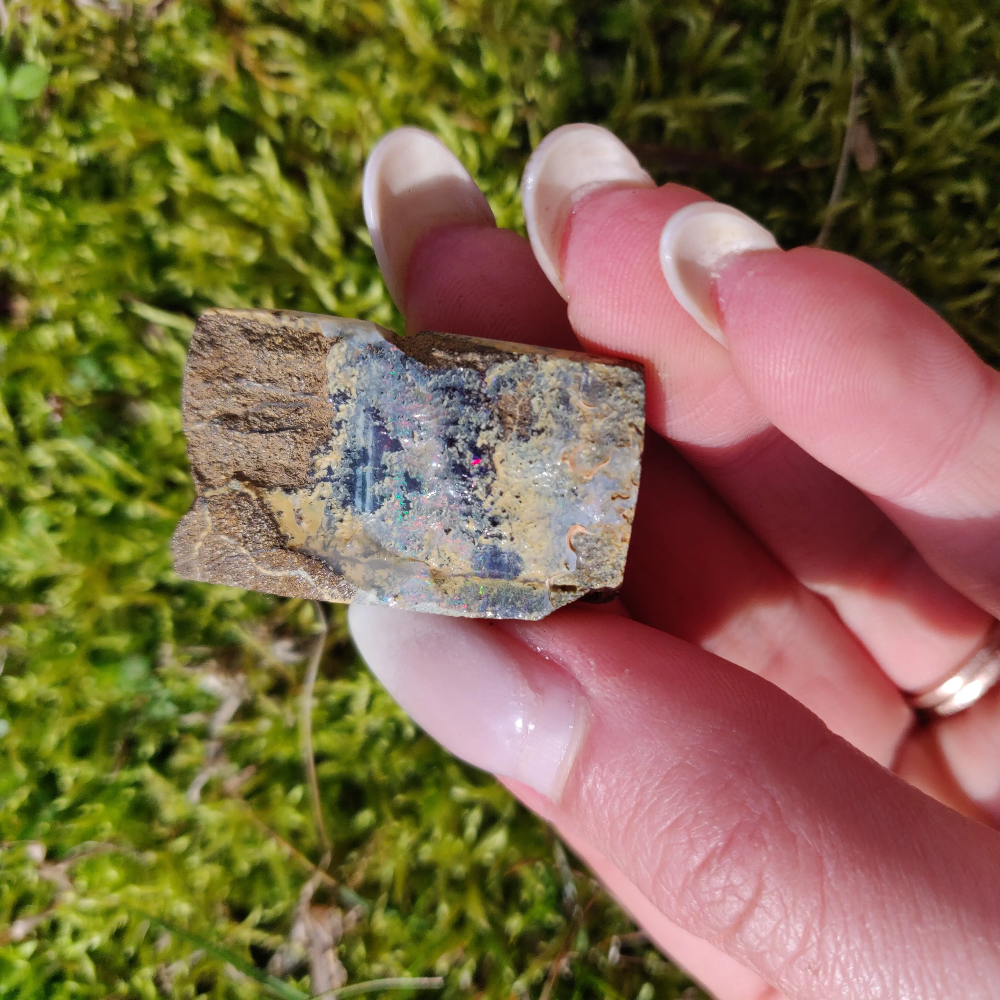 Australian Boulder Opal Rough Specimen (#5)