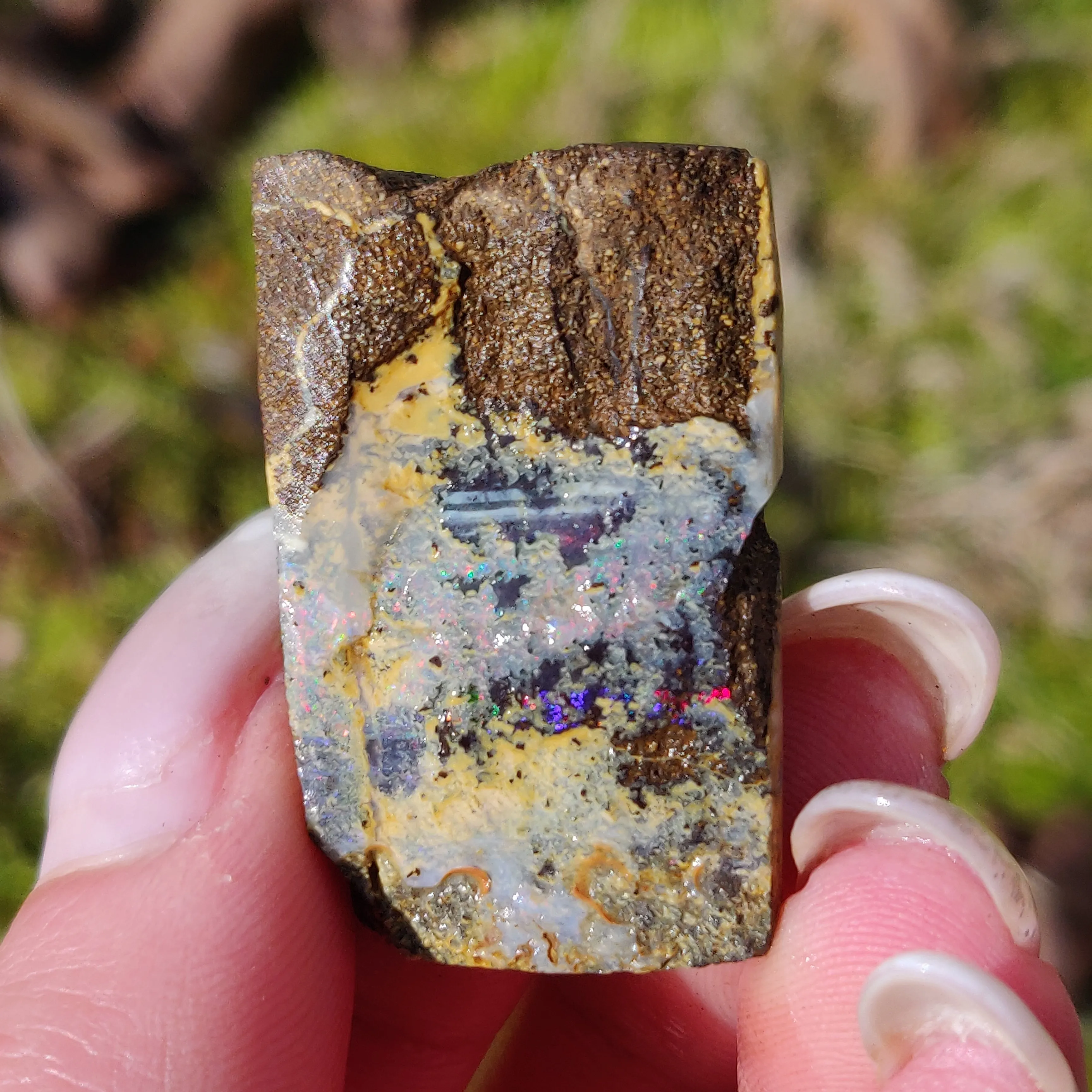 Australian Boulder Opal Rough Specimen (#5)