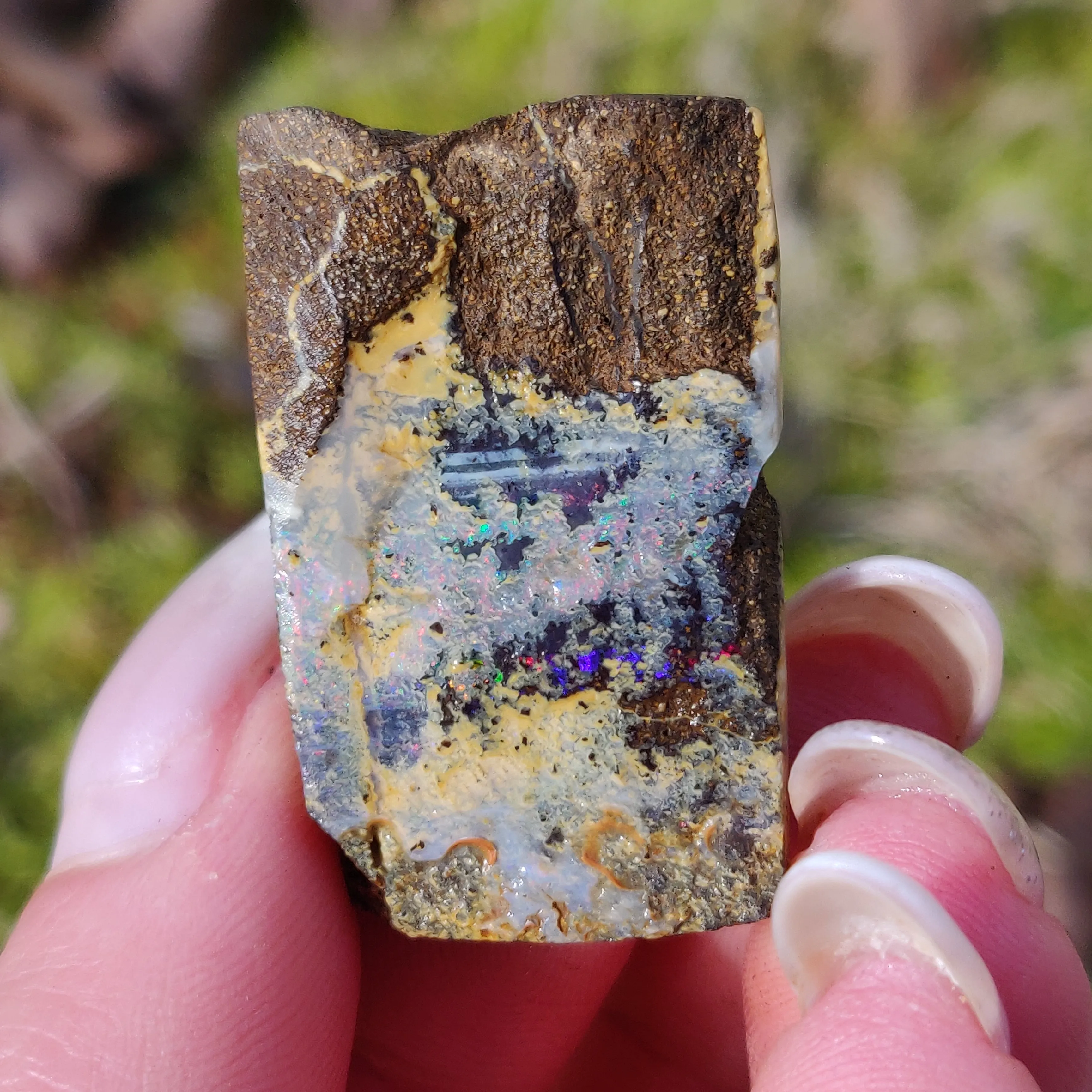 Australian Boulder Opal Rough Specimen (#5)