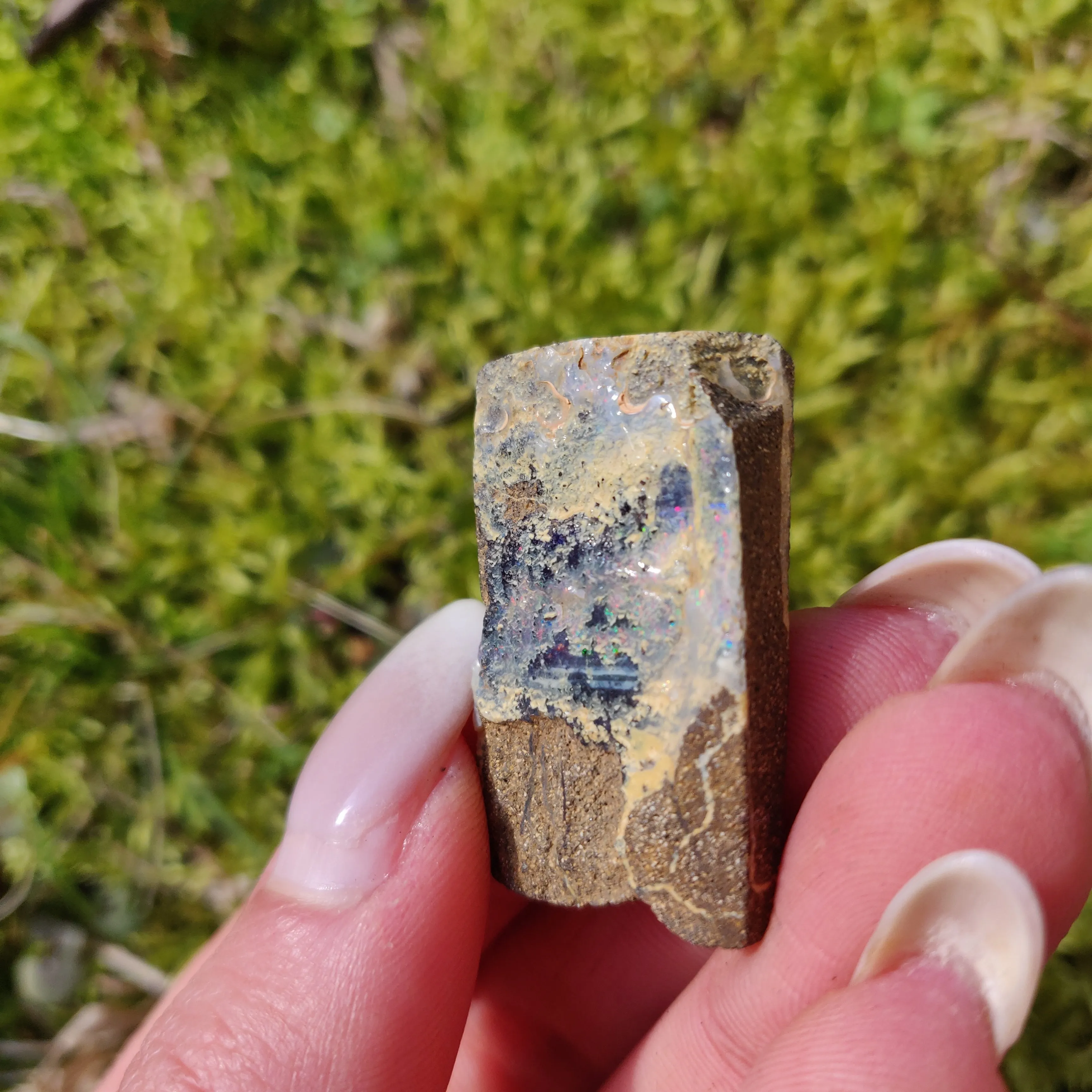 Australian Boulder Opal Rough Specimen (#5)