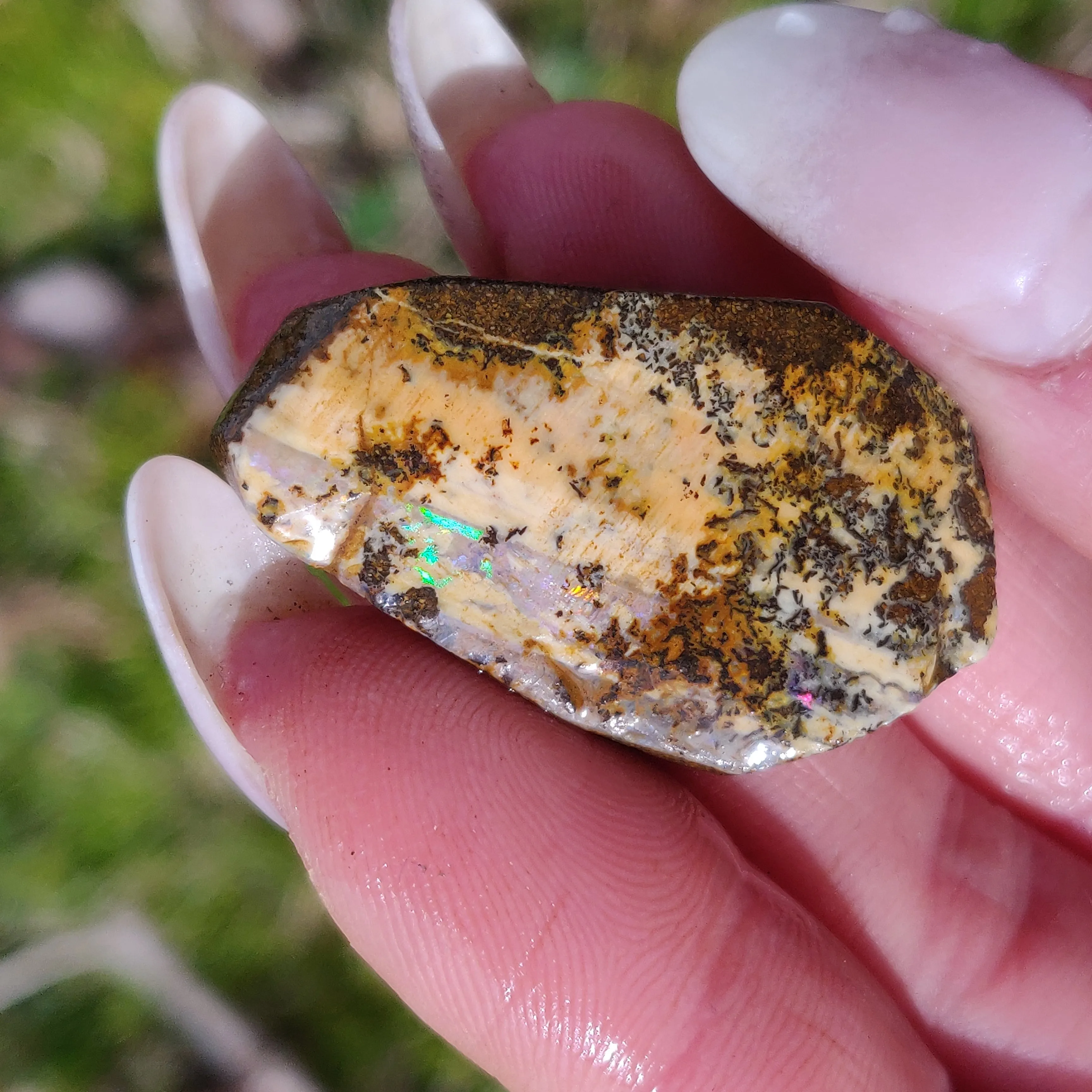 Australian Boulder Opal Rough Specimen with Dendritic Patterns (#1)