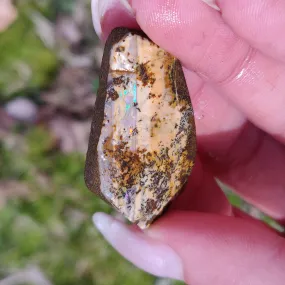 Australian Boulder Opal Rough Specimen with Dendritic Patterns (#1)