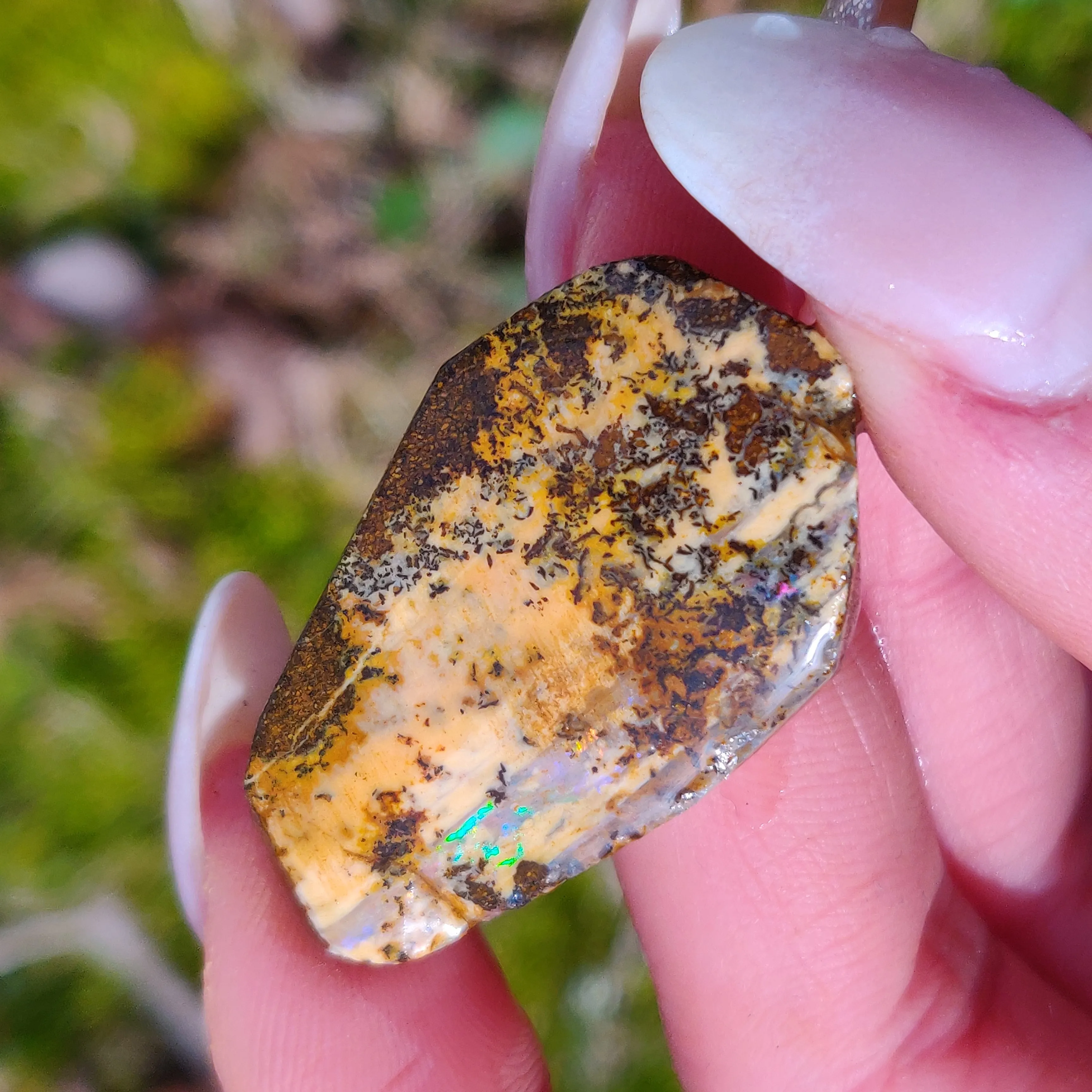 Australian Boulder Opal Rough Specimen with Dendritic Patterns (#1)