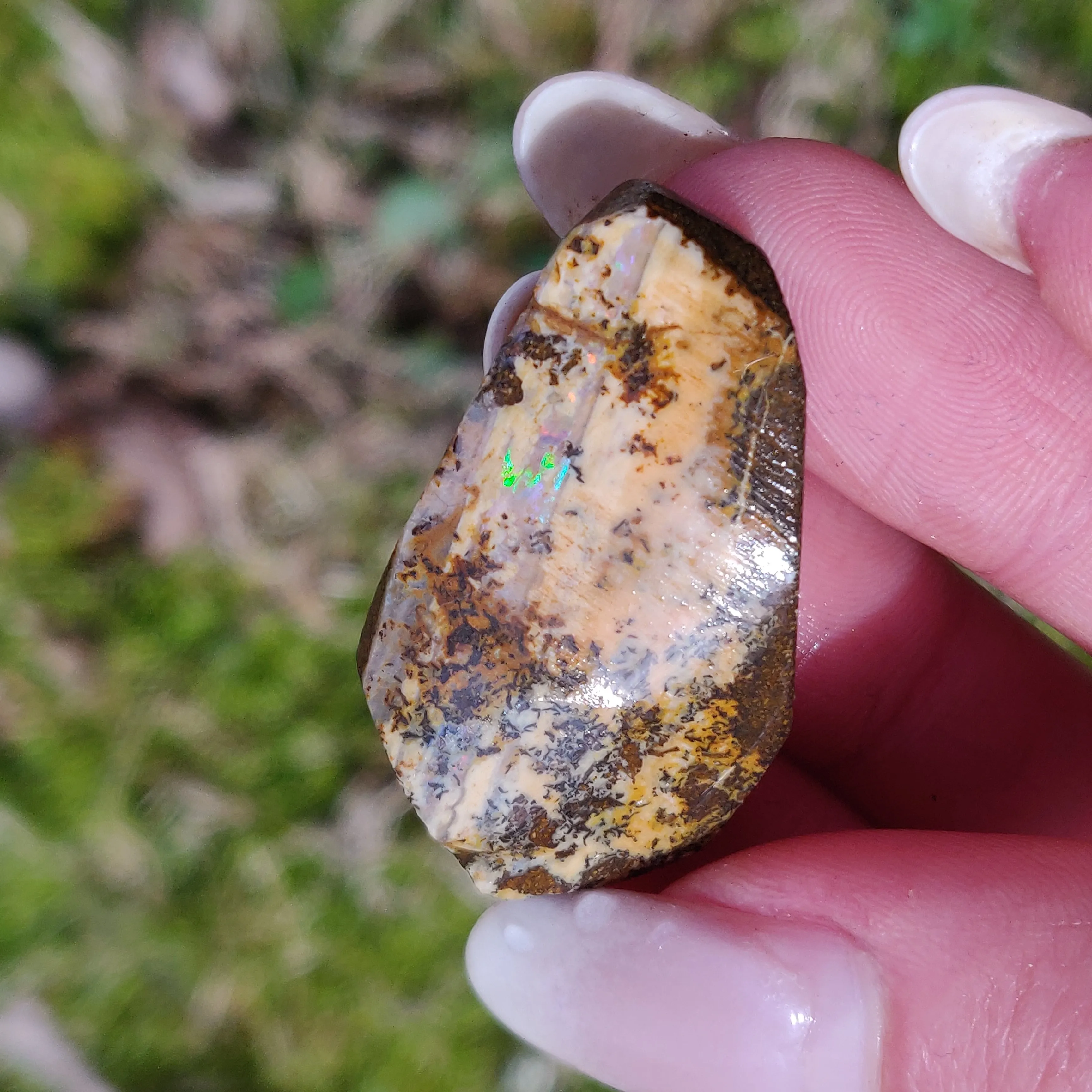 Australian Boulder Opal Rough Specimen with Dendritic Patterns (#1)