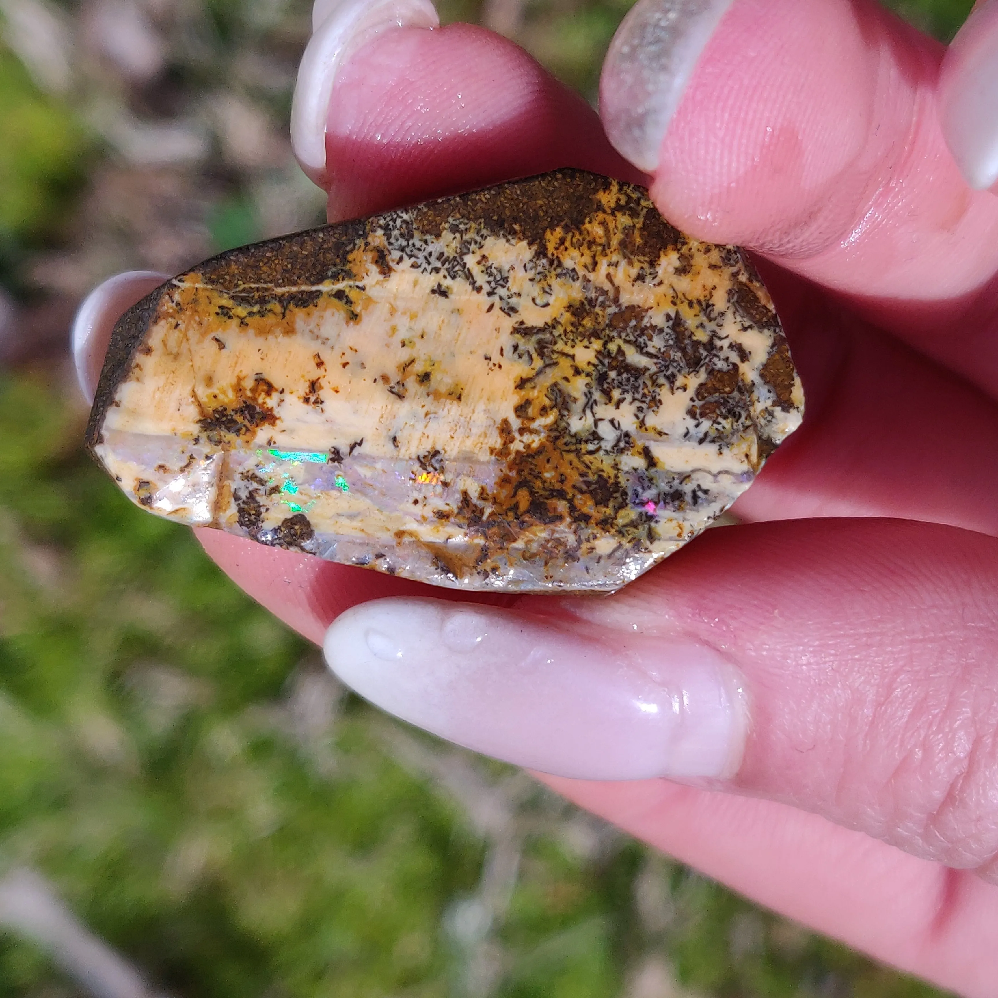 Australian Boulder Opal Rough Specimen with Dendritic Patterns (#1)