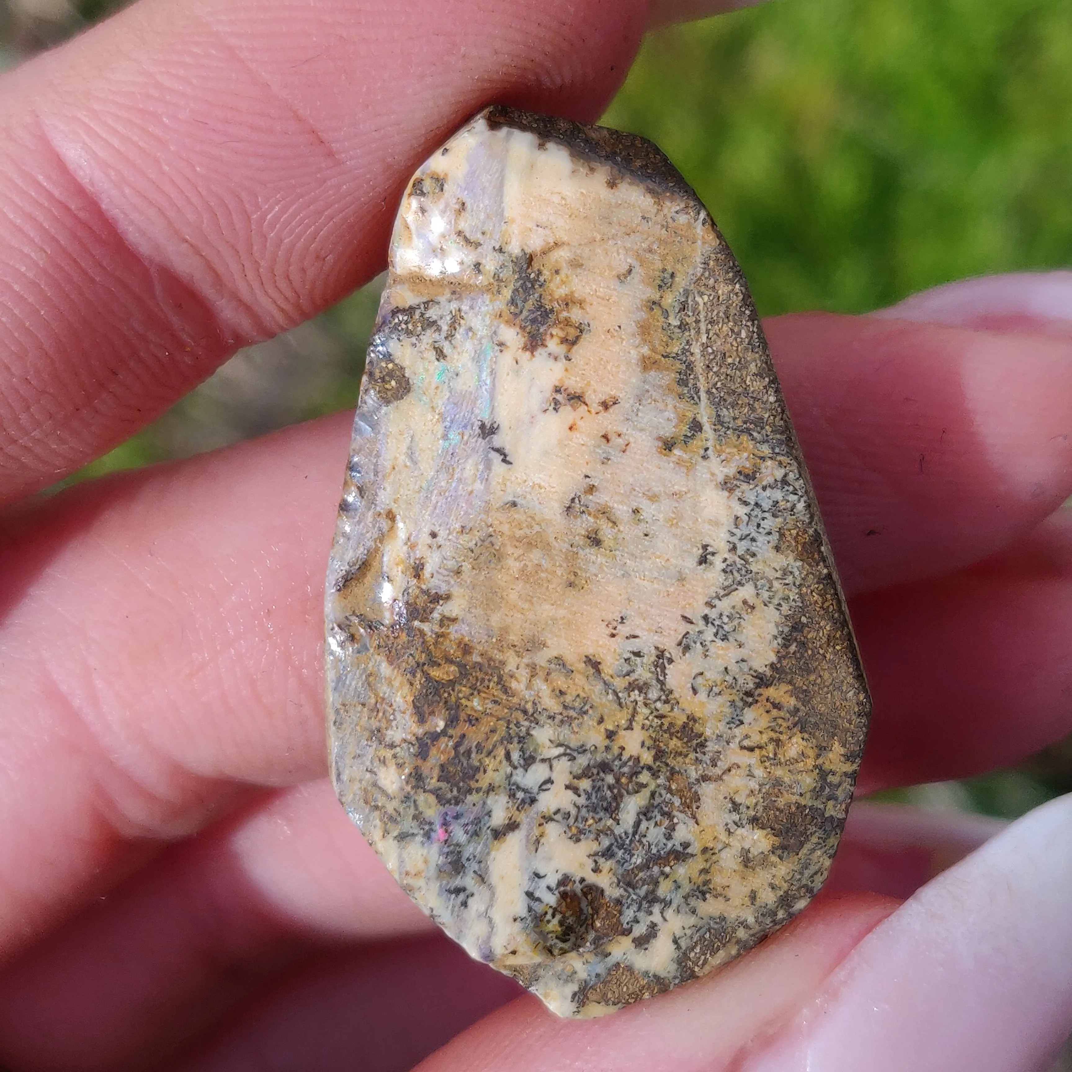 Australian Boulder Opal Rough Specimen with Dendritic Patterns (#1)