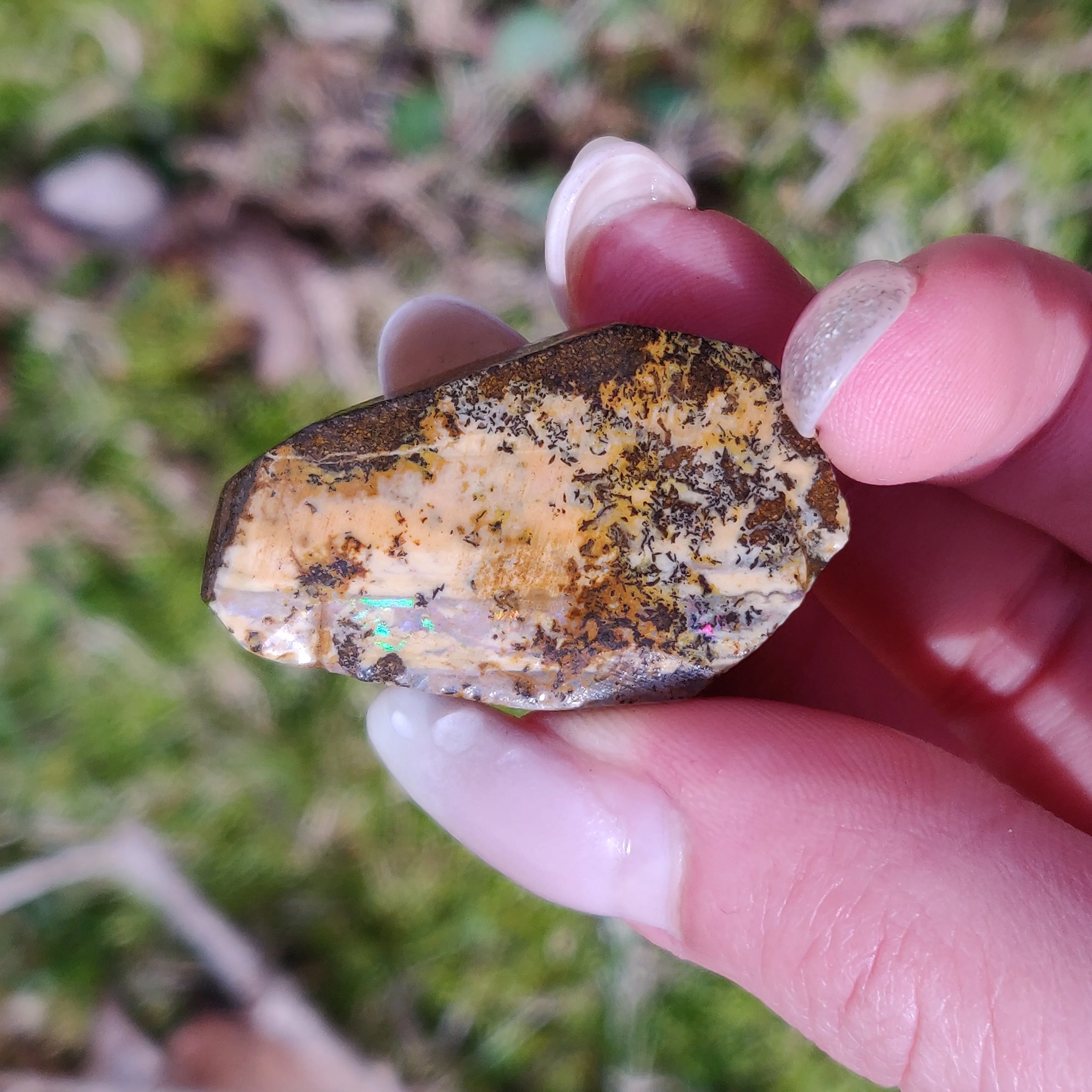 Australian Boulder Opal Rough Specimen with Dendritic Patterns (#1)