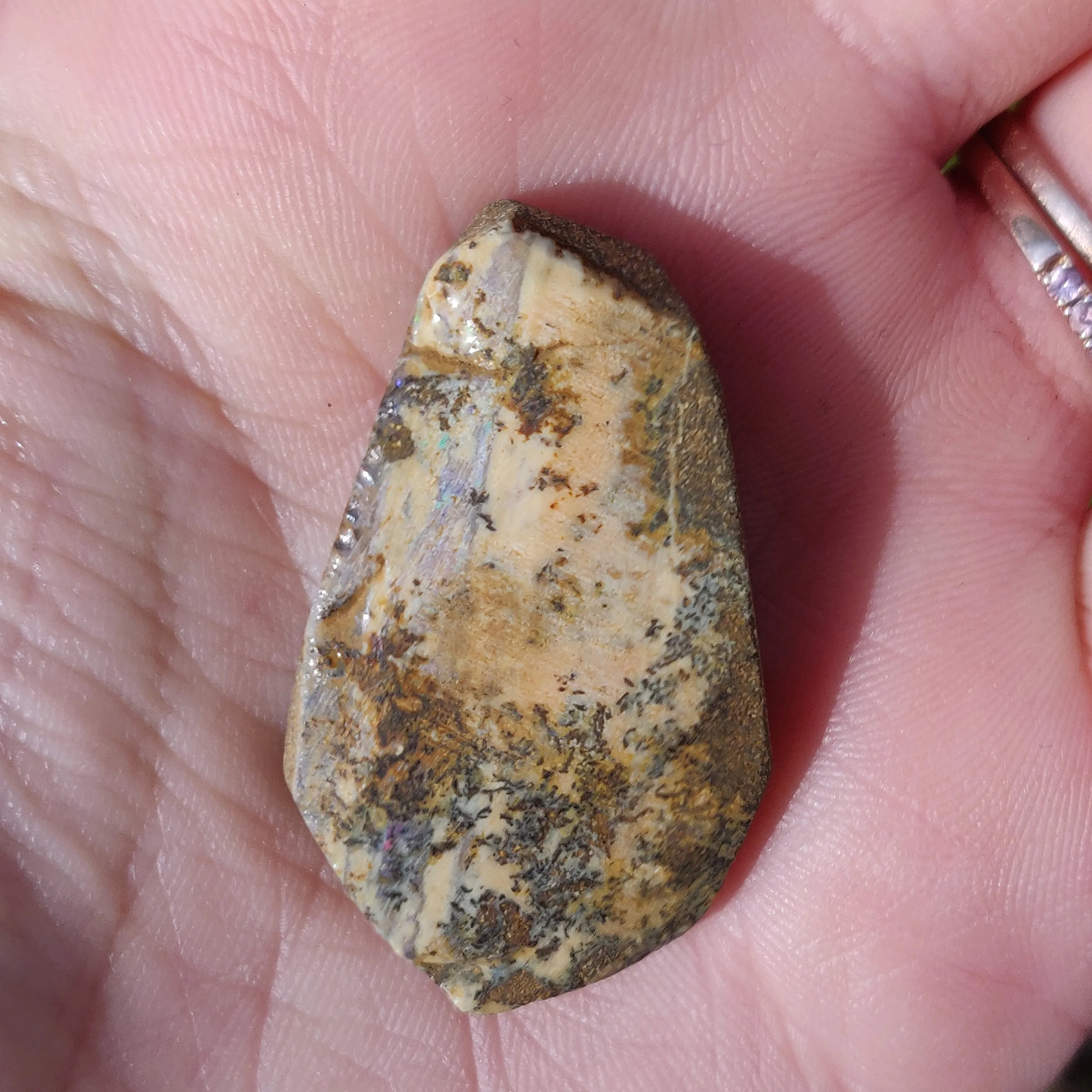 Australian Boulder Opal Rough Specimen with Dendritic Patterns (#1)