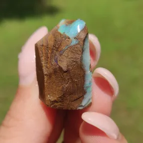 Australian Boulder Opal Rough Specimen(#11)