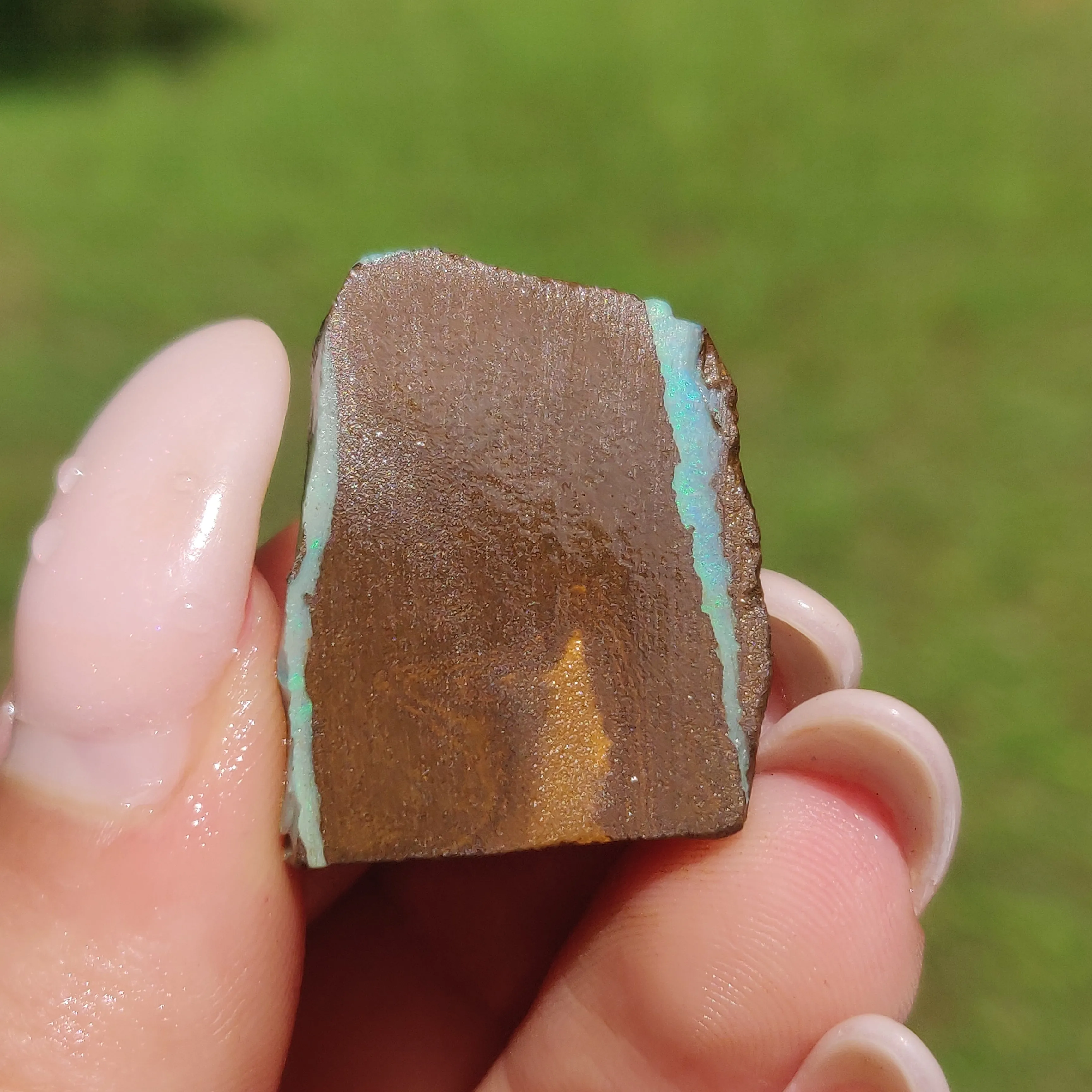 Australian Boulder Opal Rough Specimen(#11)