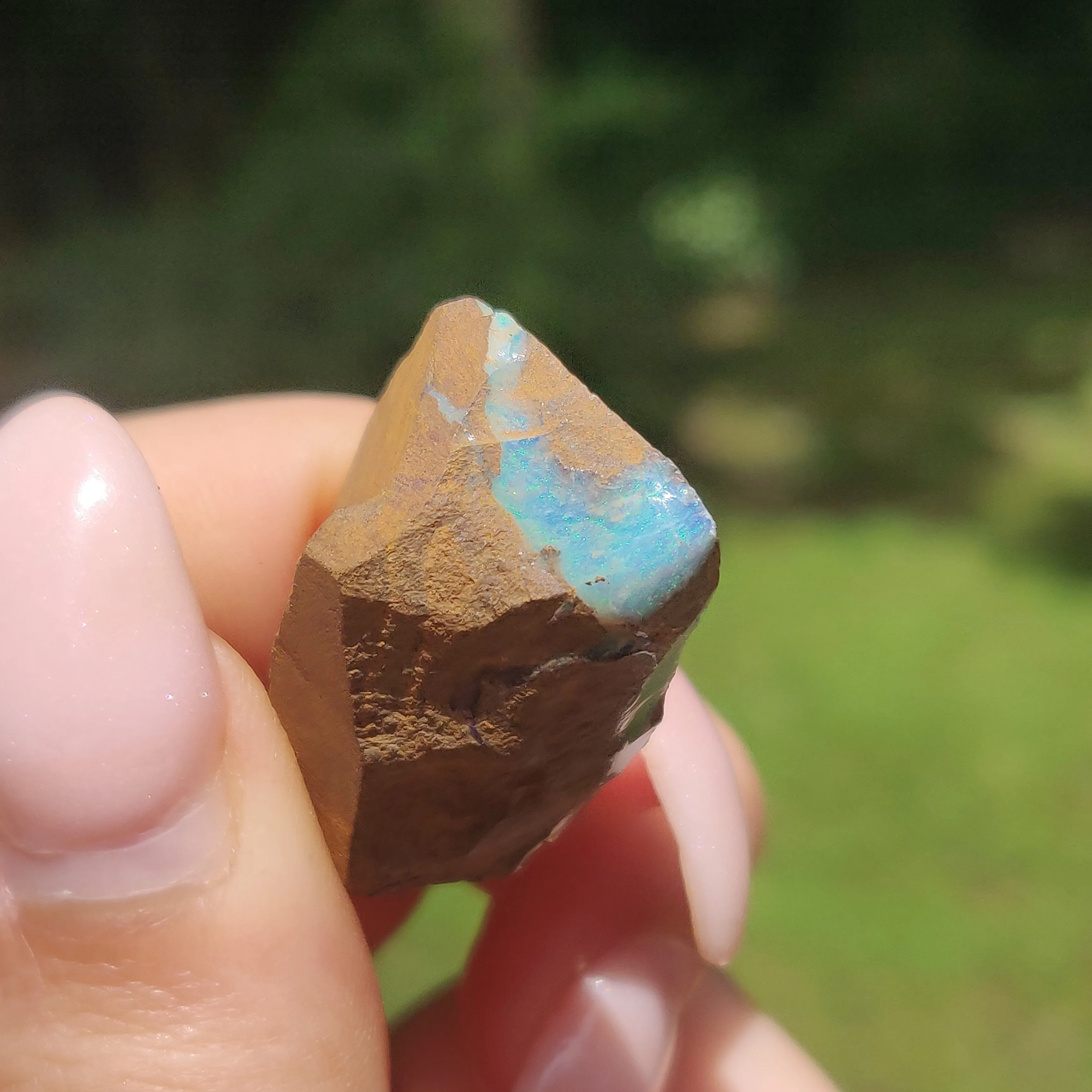 Australian Boulder Opal Rough Specimen(#11)