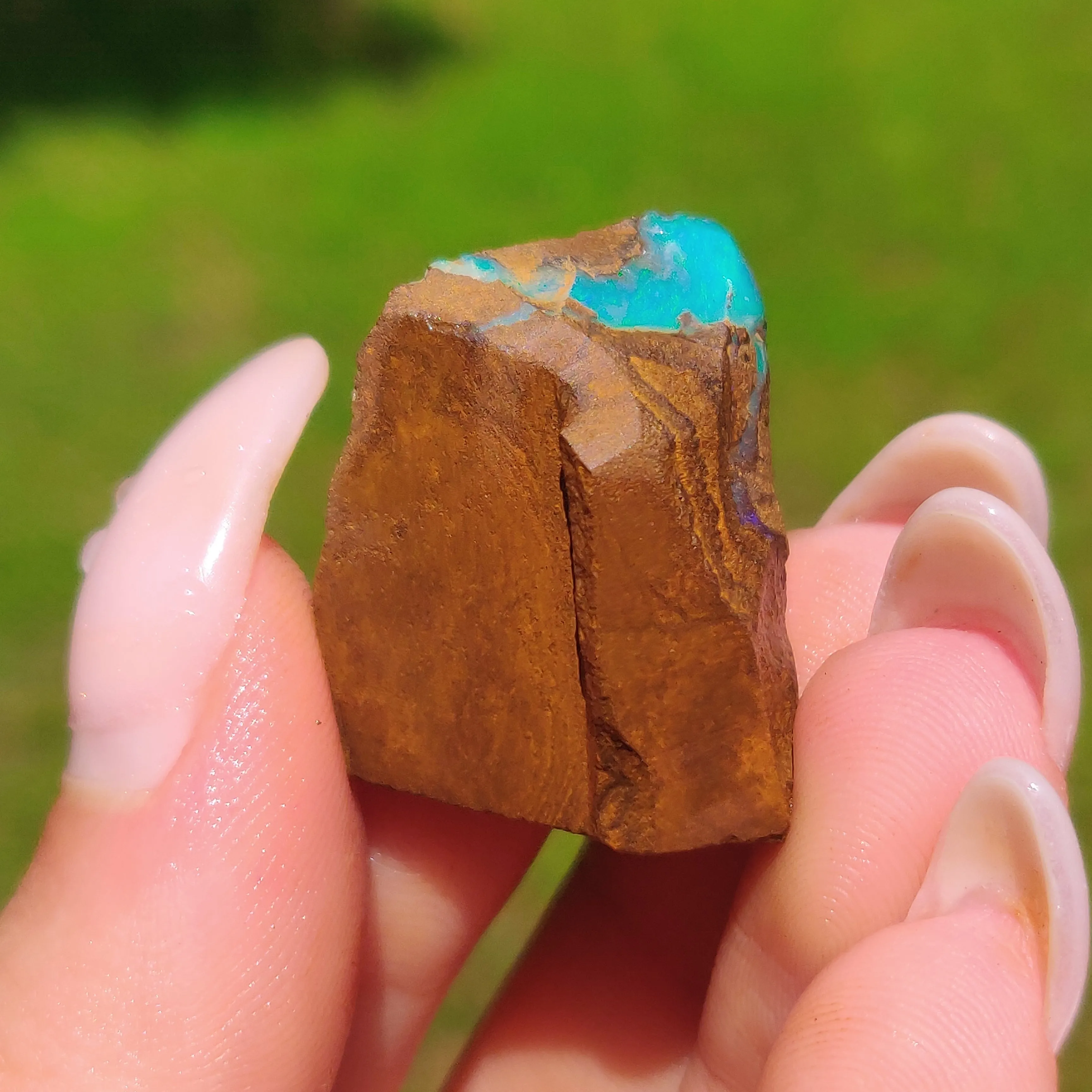 Australian Boulder Opal Rough Specimen(#11)