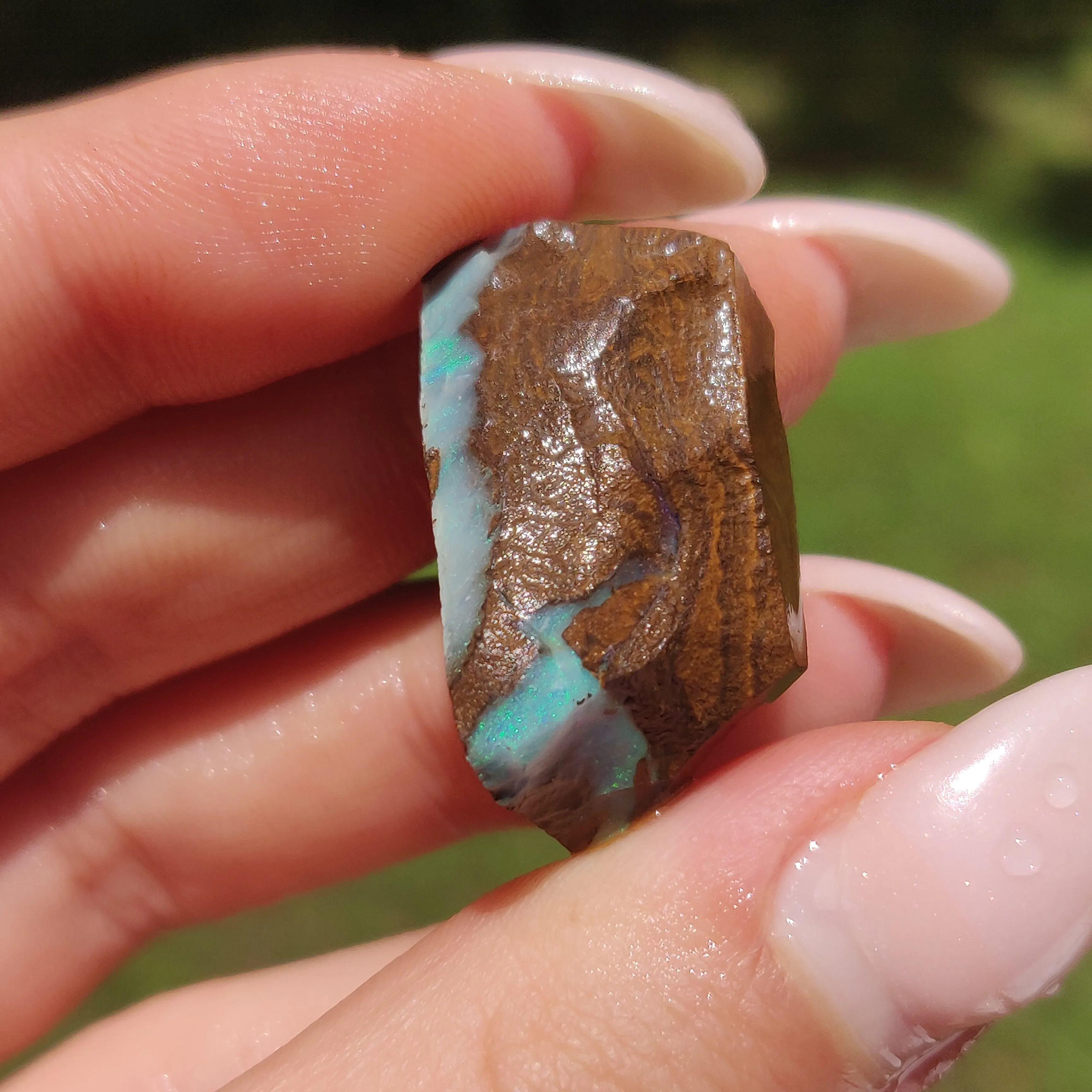 Australian Boulder Opal Rough Specimen(#11)