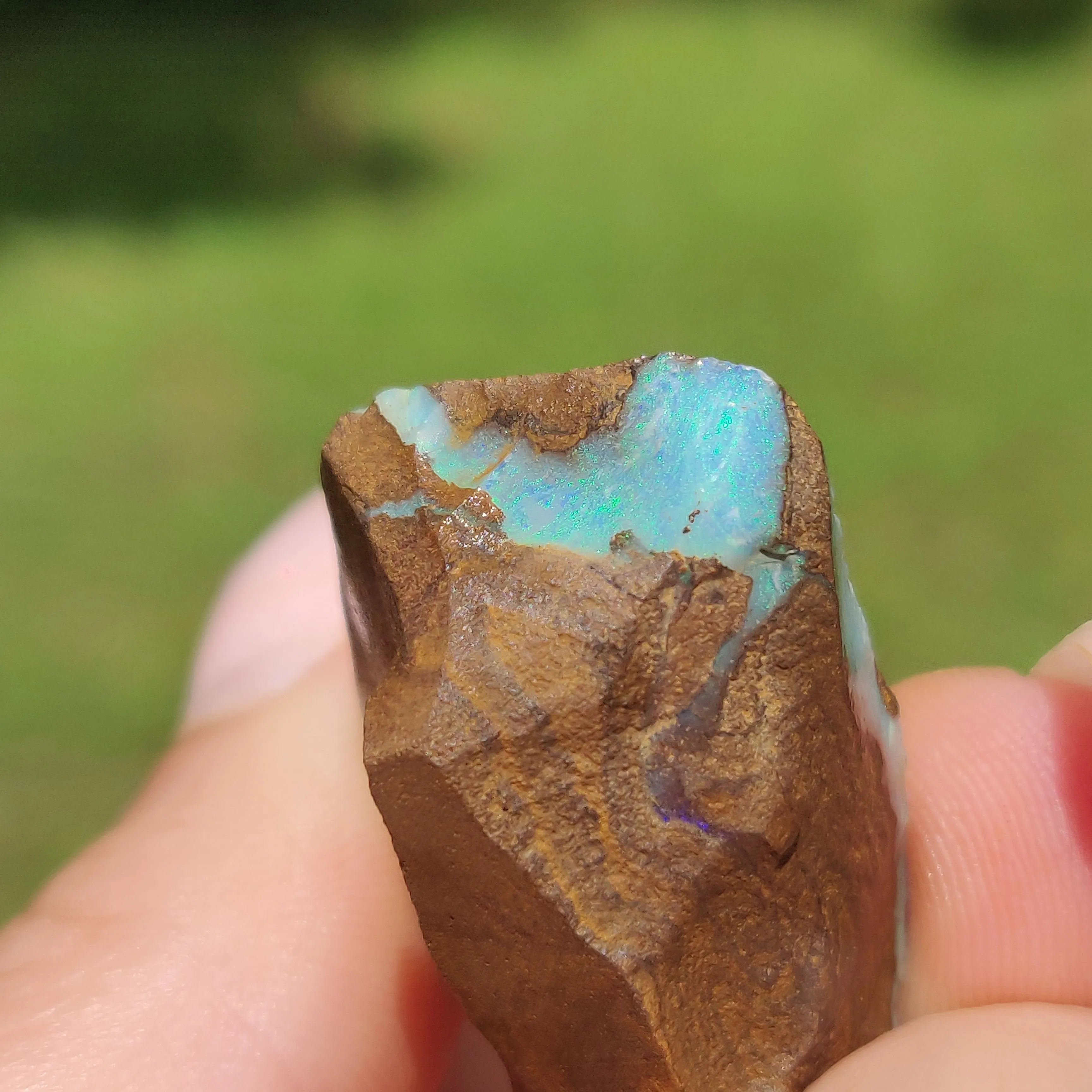 Australian Boulder Opal Rough Specimen(#11)