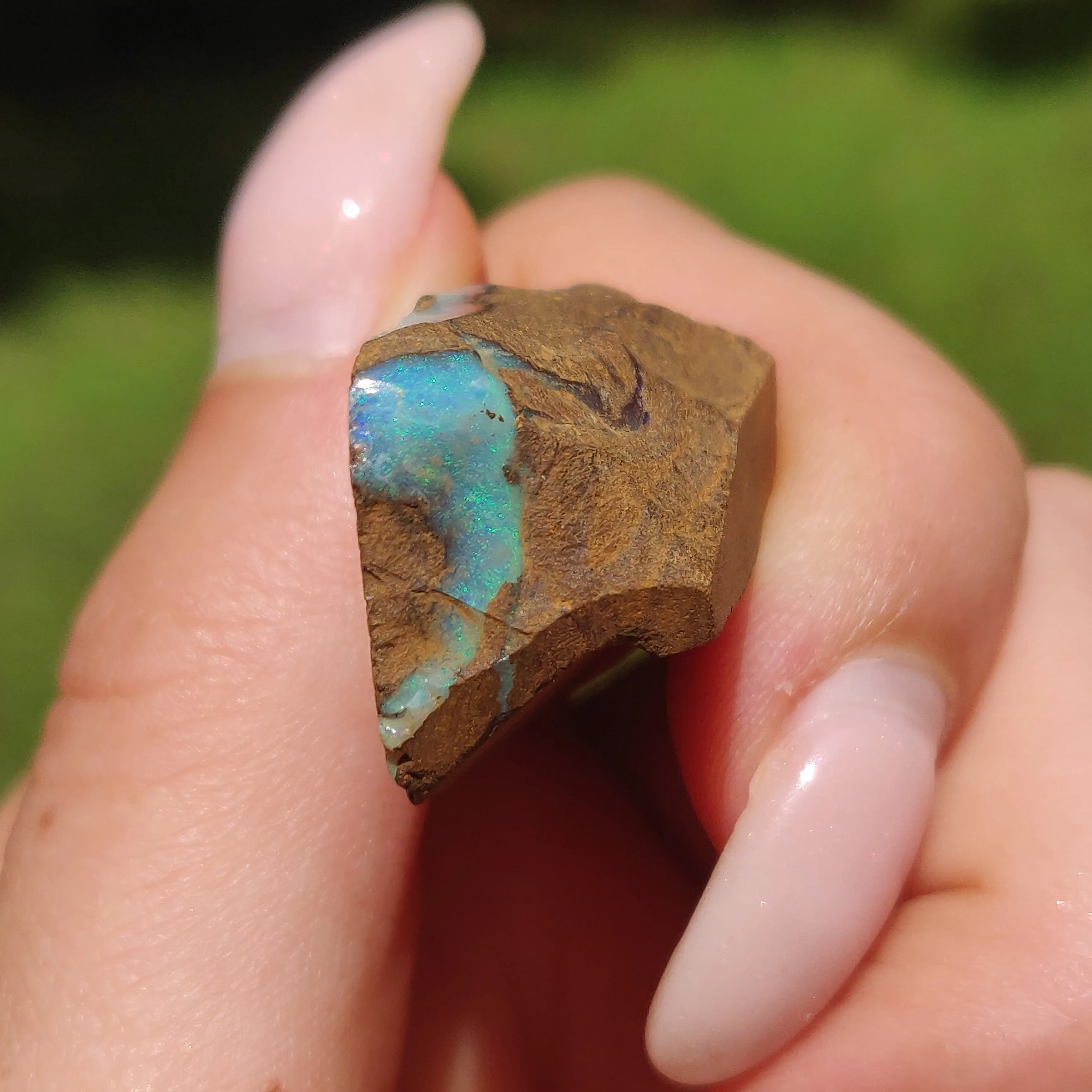 Australian Boulder Opal Rough Specimen(#11)