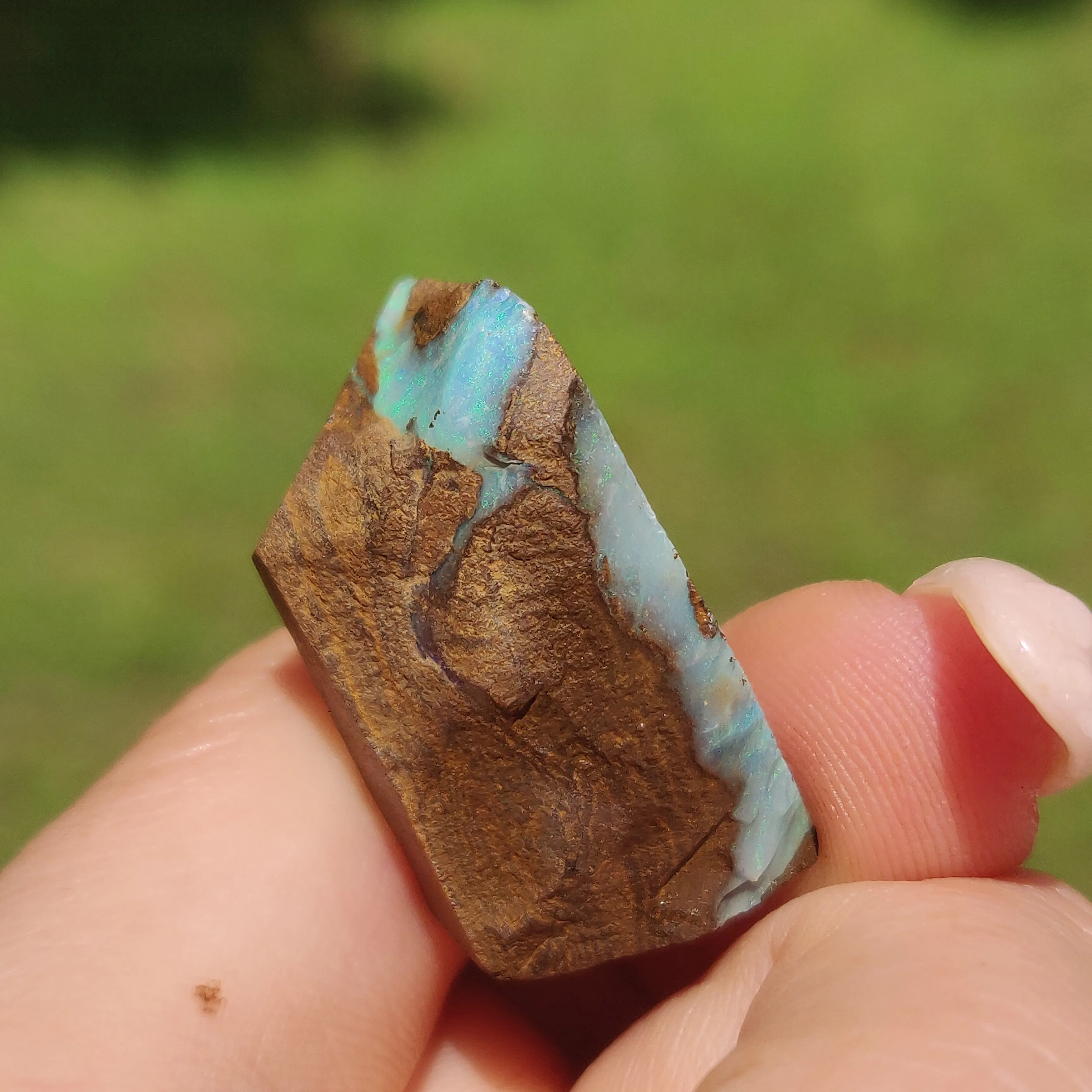 Australian Boulder Opal Rough Specimen(#11)