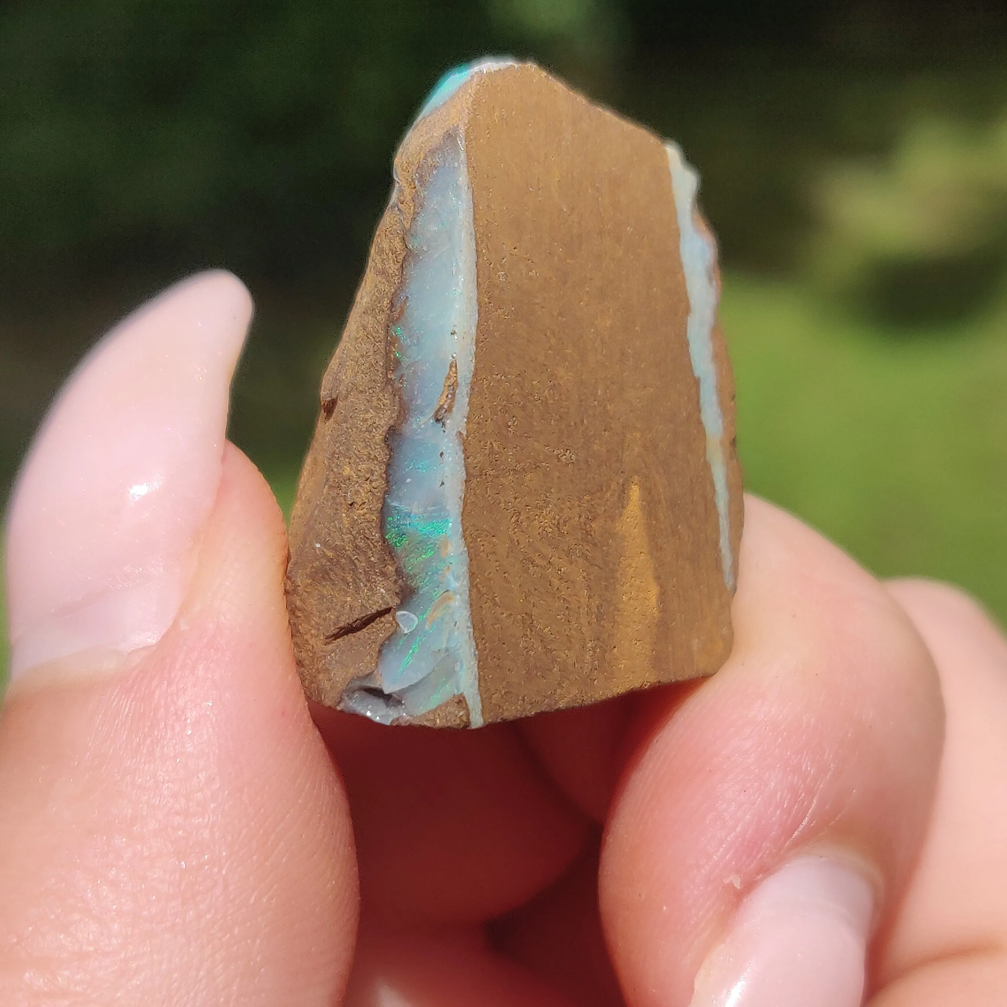 Australian Boulder Opal Rough Specimen(#11)