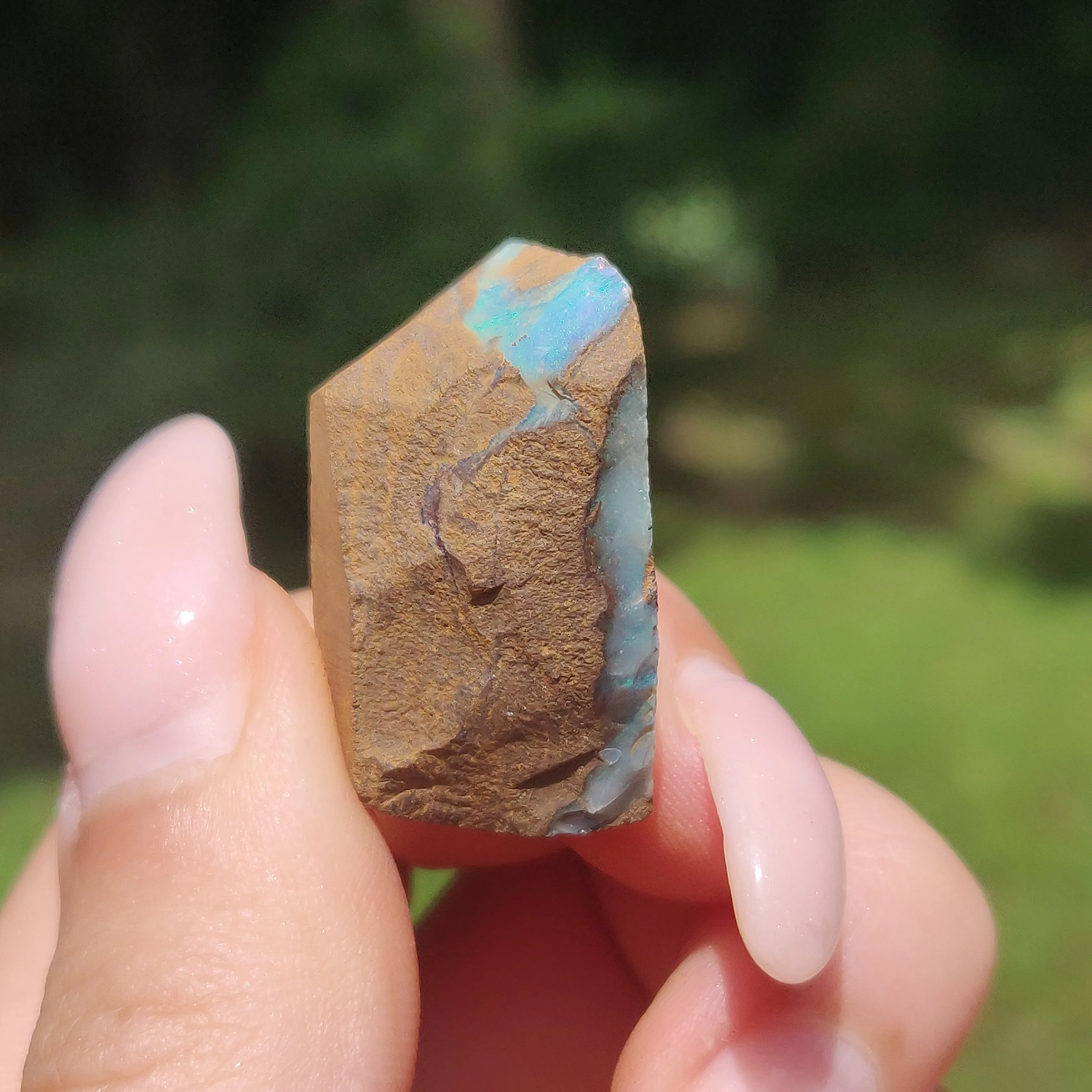 Australian Boulder Opal Rough Specimen(#11)