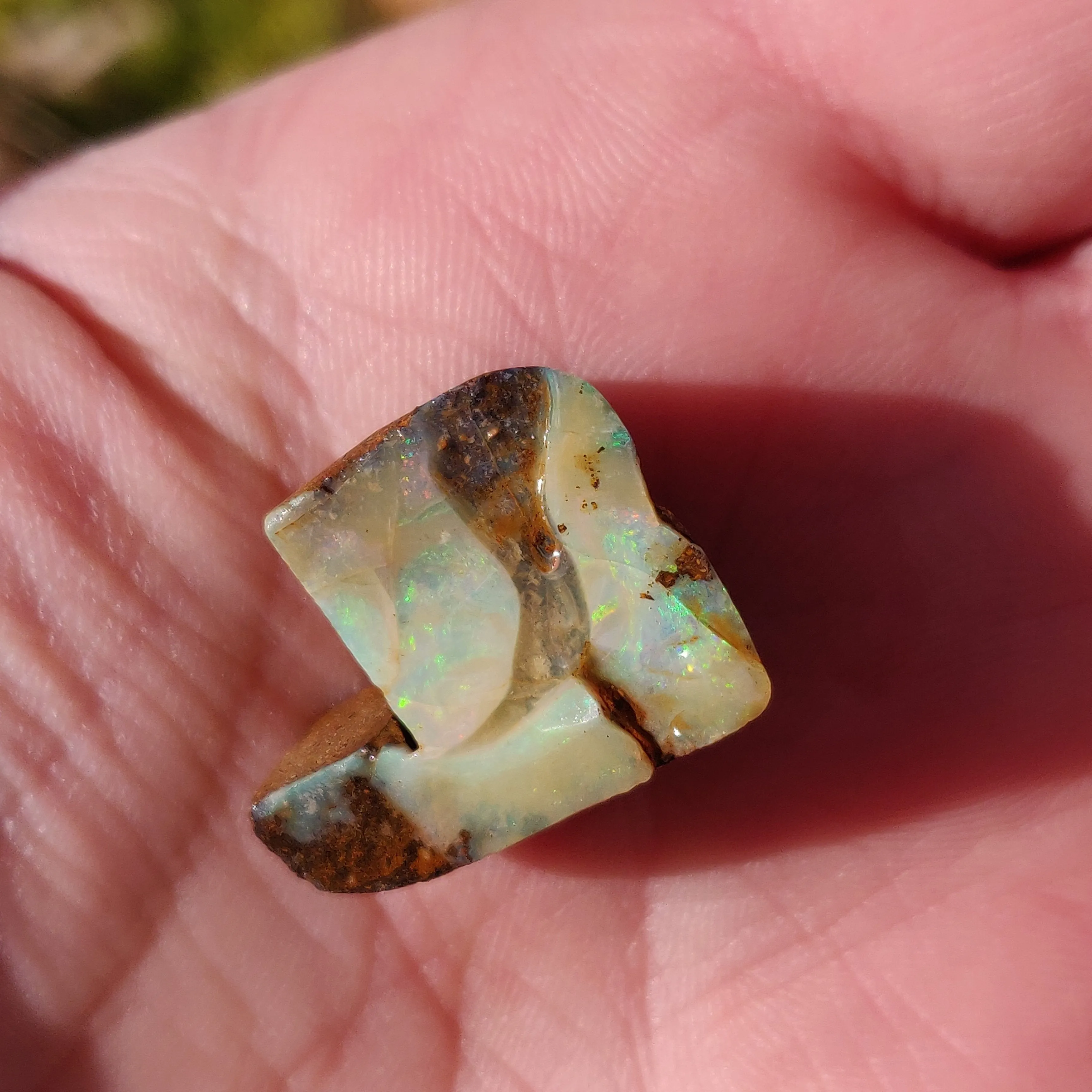 Australian Boulder Opal Rough Specimen(#3)