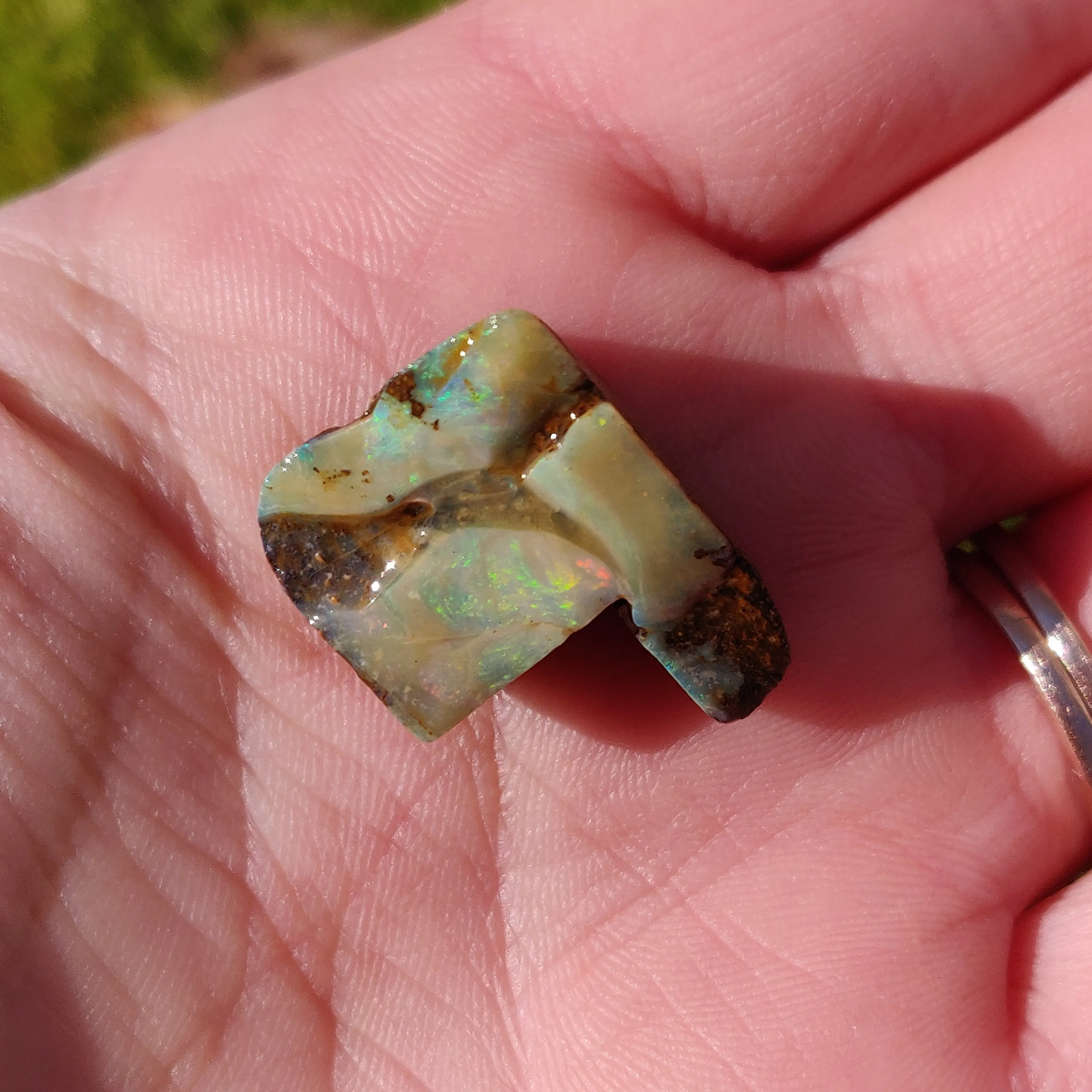 Australian Boulder Opal Rough Specimen(#3)