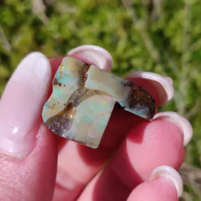 Australian Boulder Opal Rough Specimen(#3)