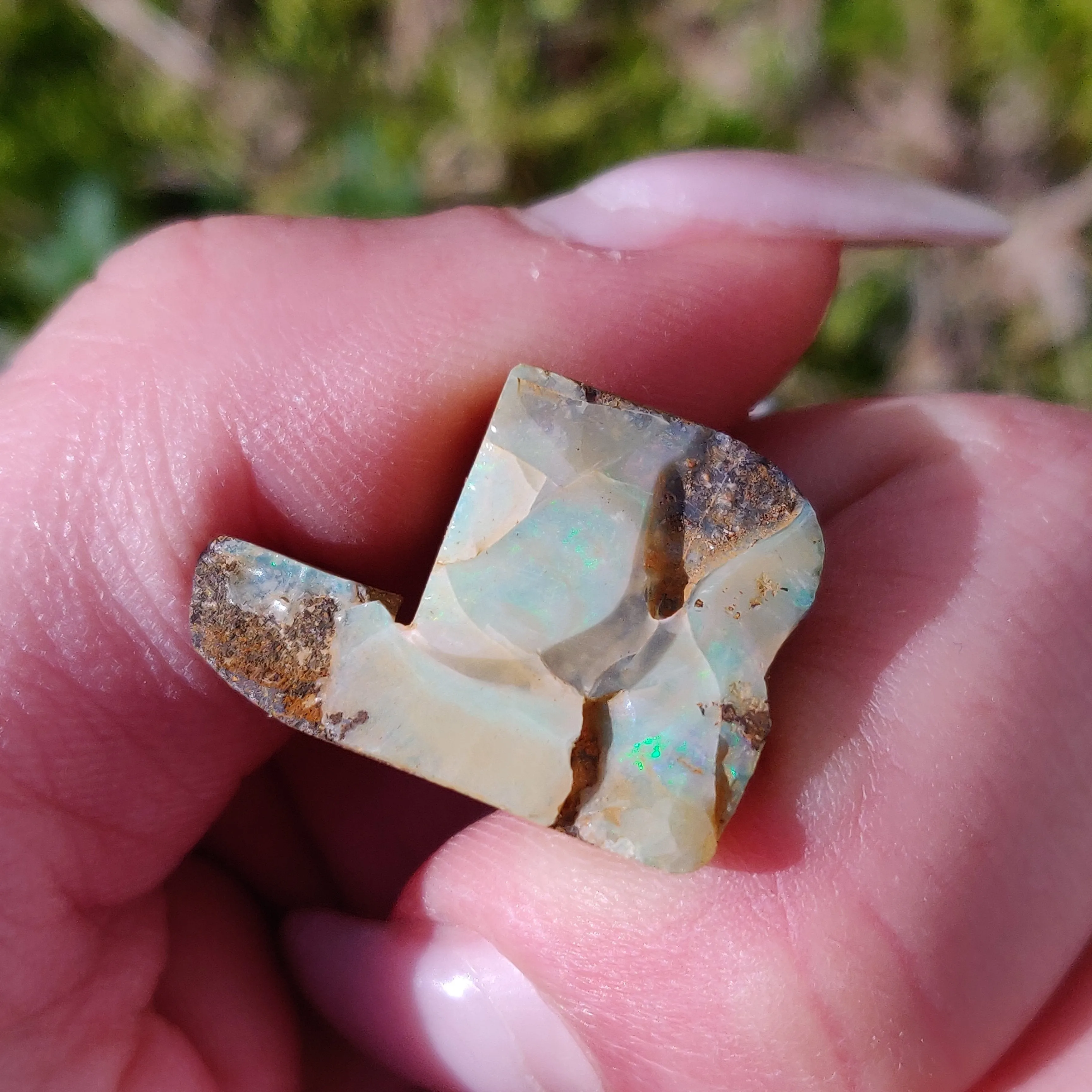 Australian Boulder Opal Rough Specimen(#3)