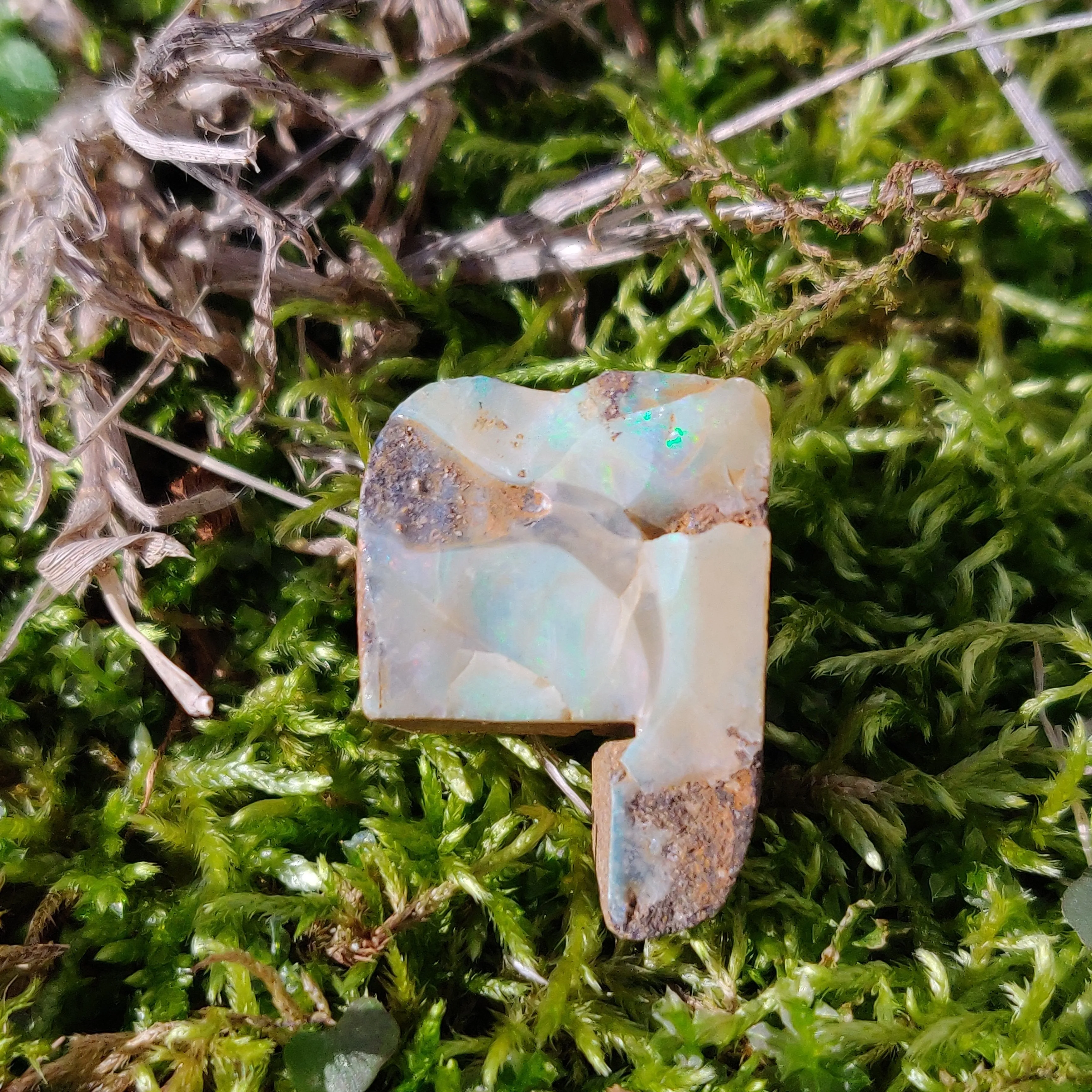 Australian Boulder Opal Rough Specimen(#3)