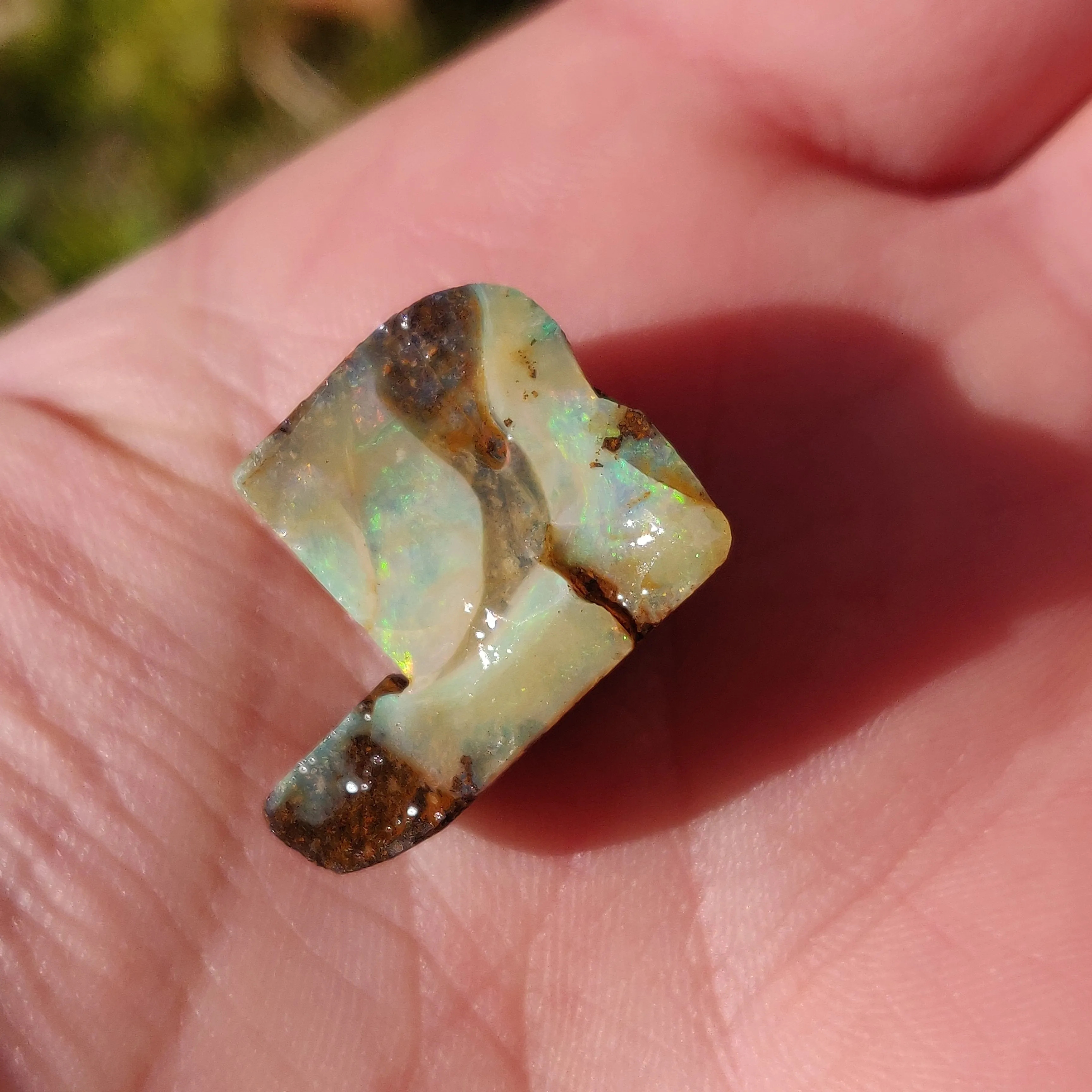 Australian Boulder Opal Rough Specimen(#3)