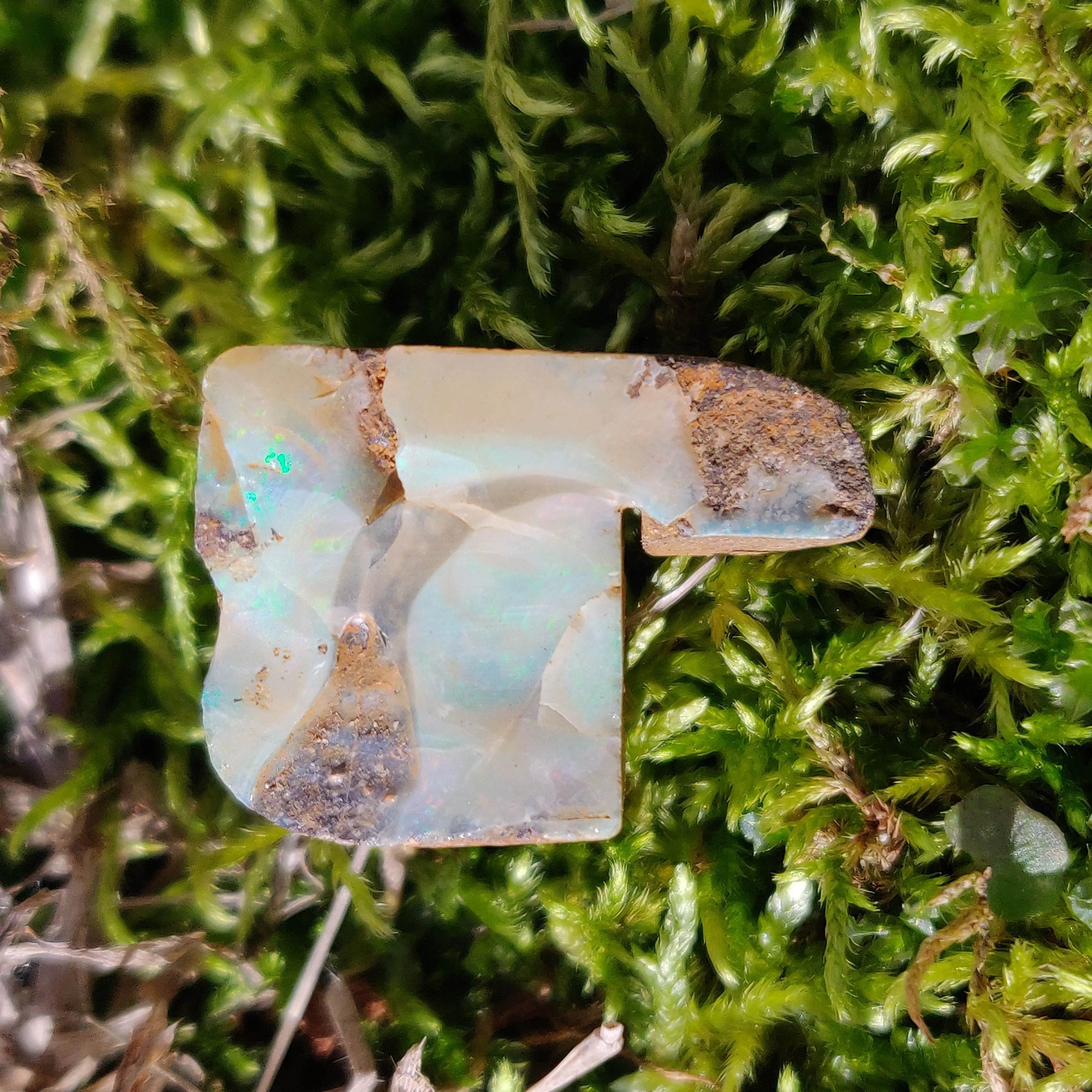 Australian Boulder Opal Rough Specimen(#3)