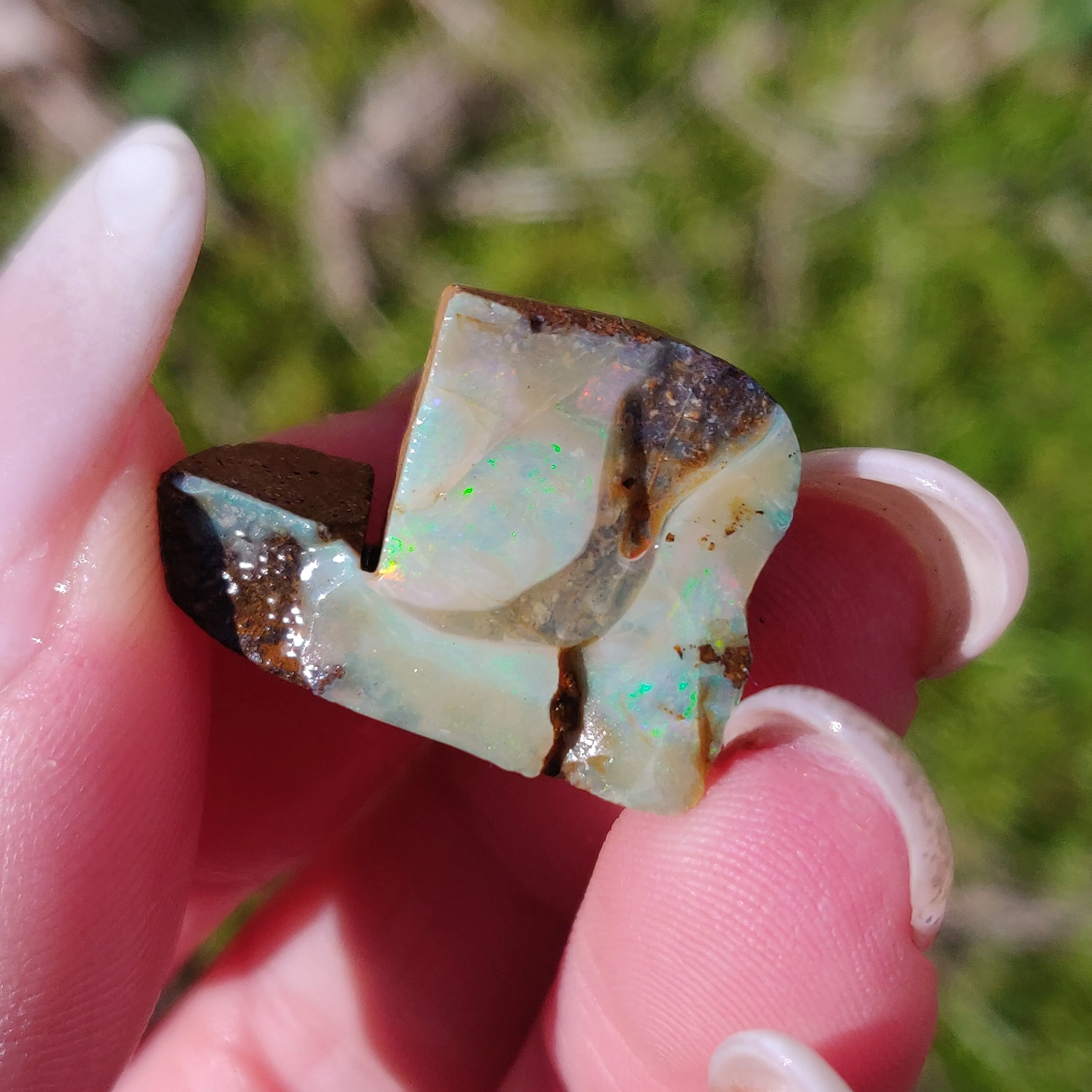 Australian Boulder Opal Rough Specimen(#3)