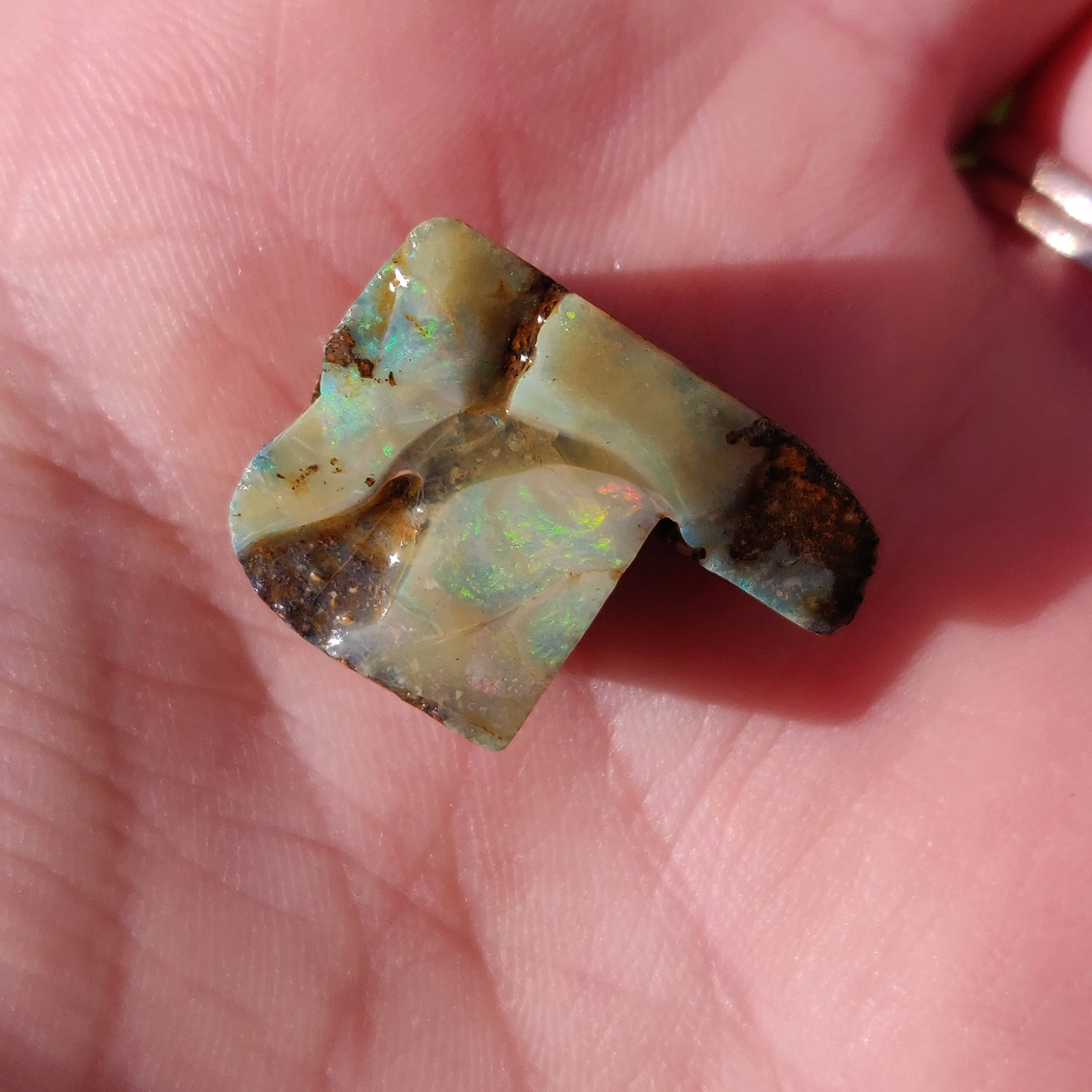 Australian Boulder Opal Rough Specimen(#3)