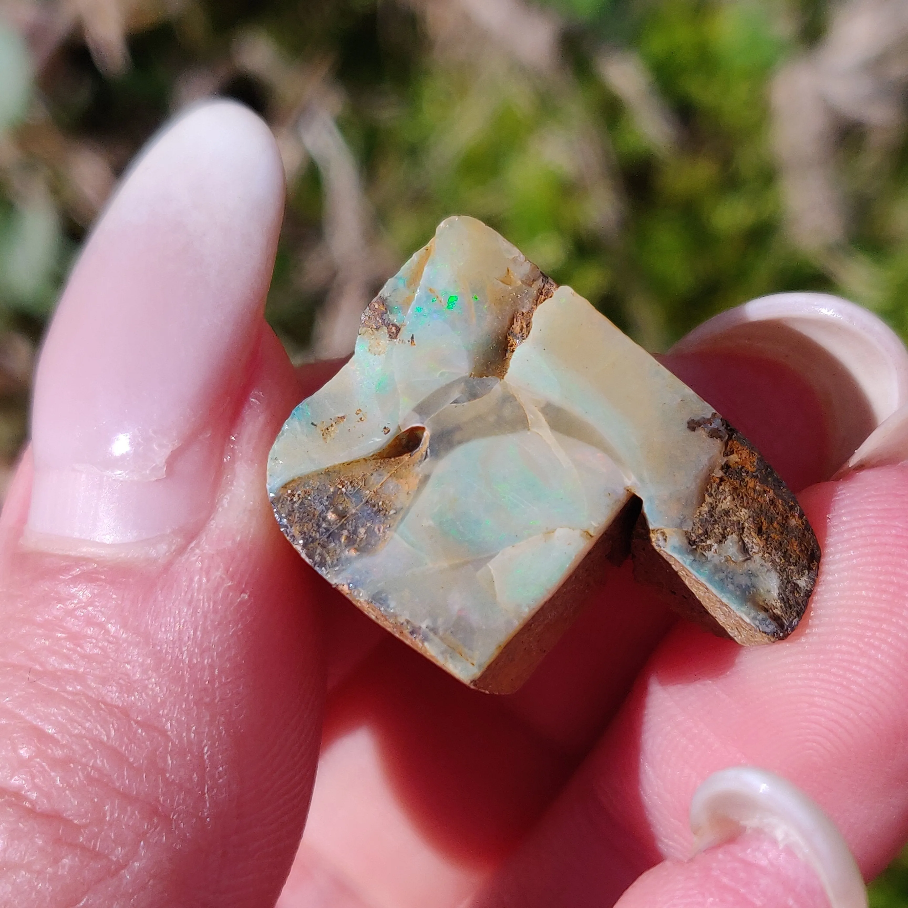 Australian Boulder Opal Rough Specimen(#3)