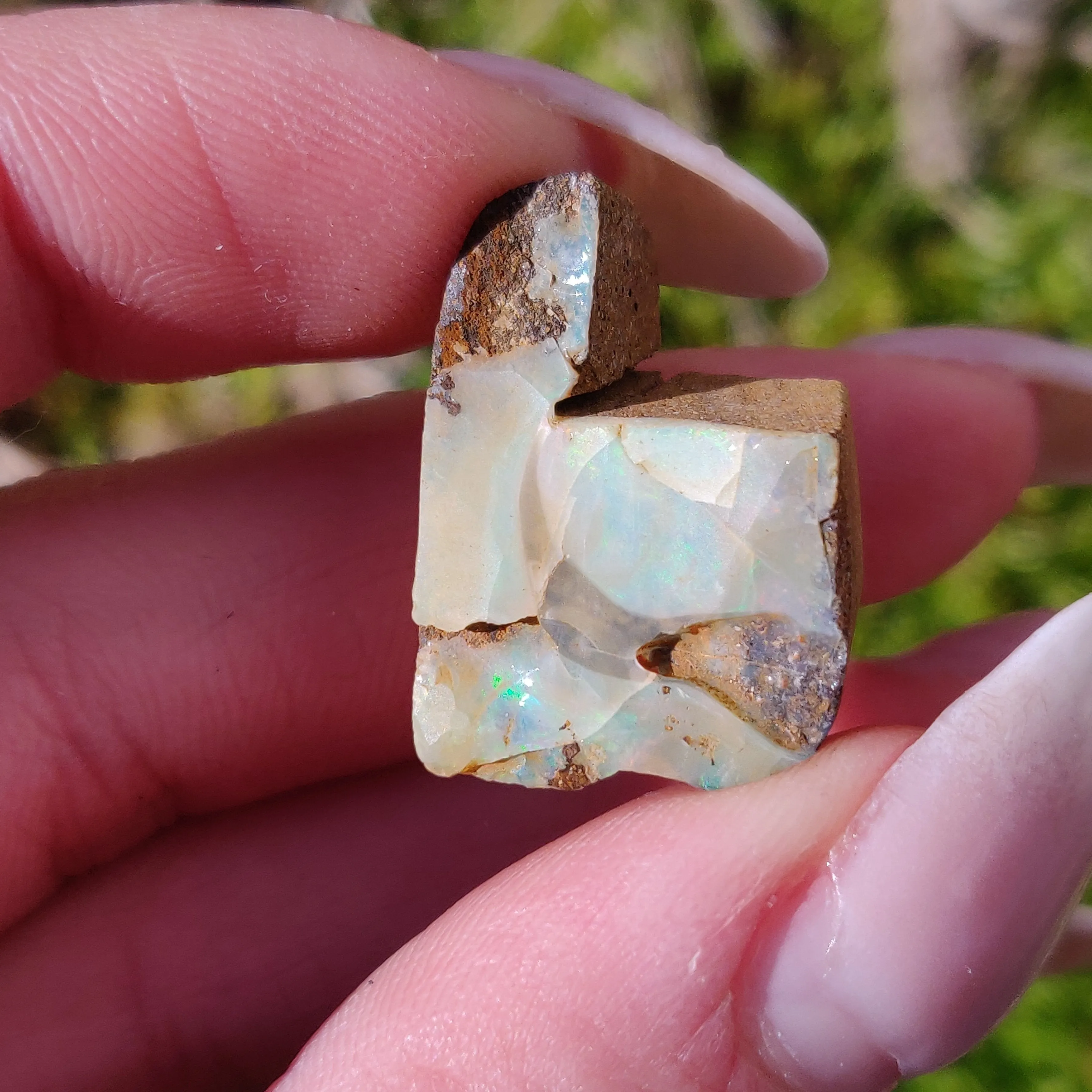 Australian Boulder Opal Rough Specimen(#3)