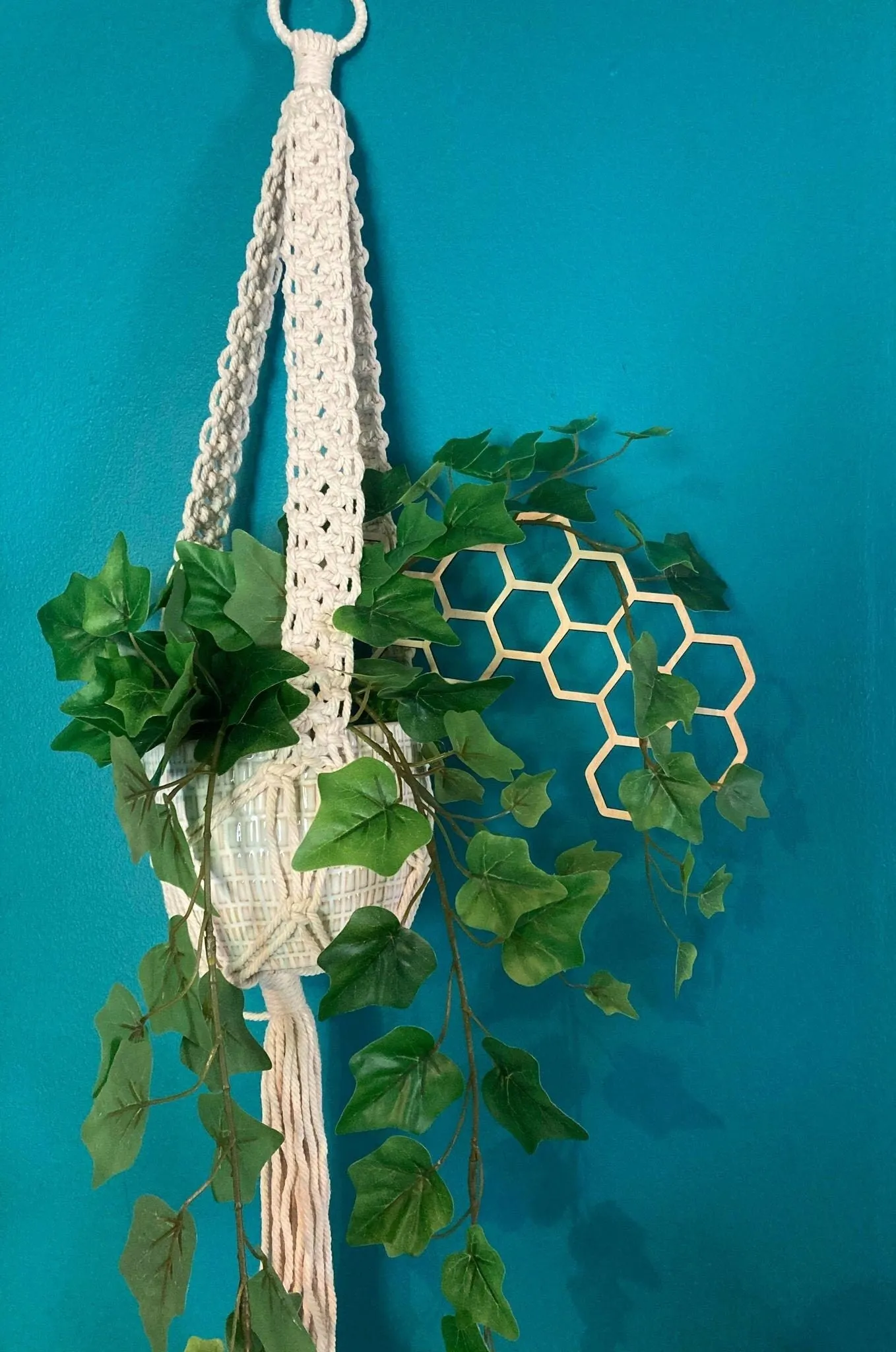 Hanging Plant Trellis | FAST SHIPPING | Honeycomb Houseplant Trellis | Indoor Garden Trellis | Plant Lover Gift | Insured Shipping