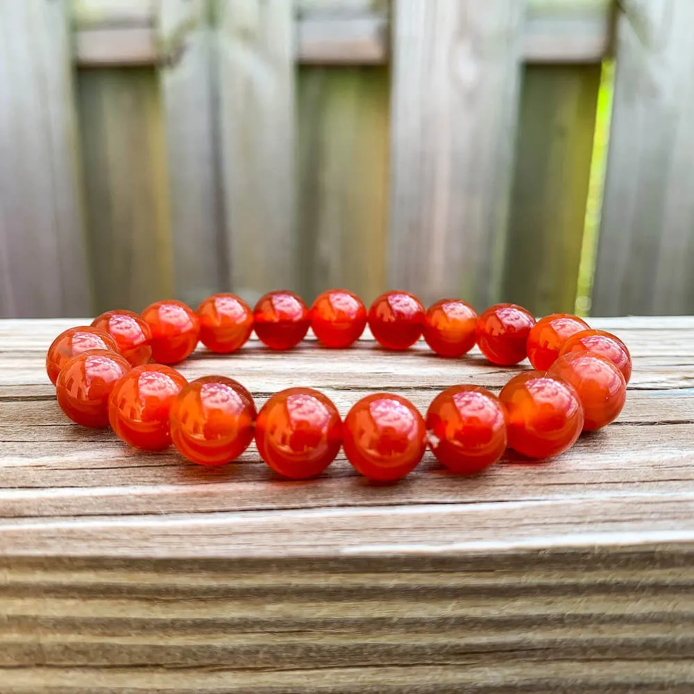 Natural Carnelian 10mm Beaded Bracelet